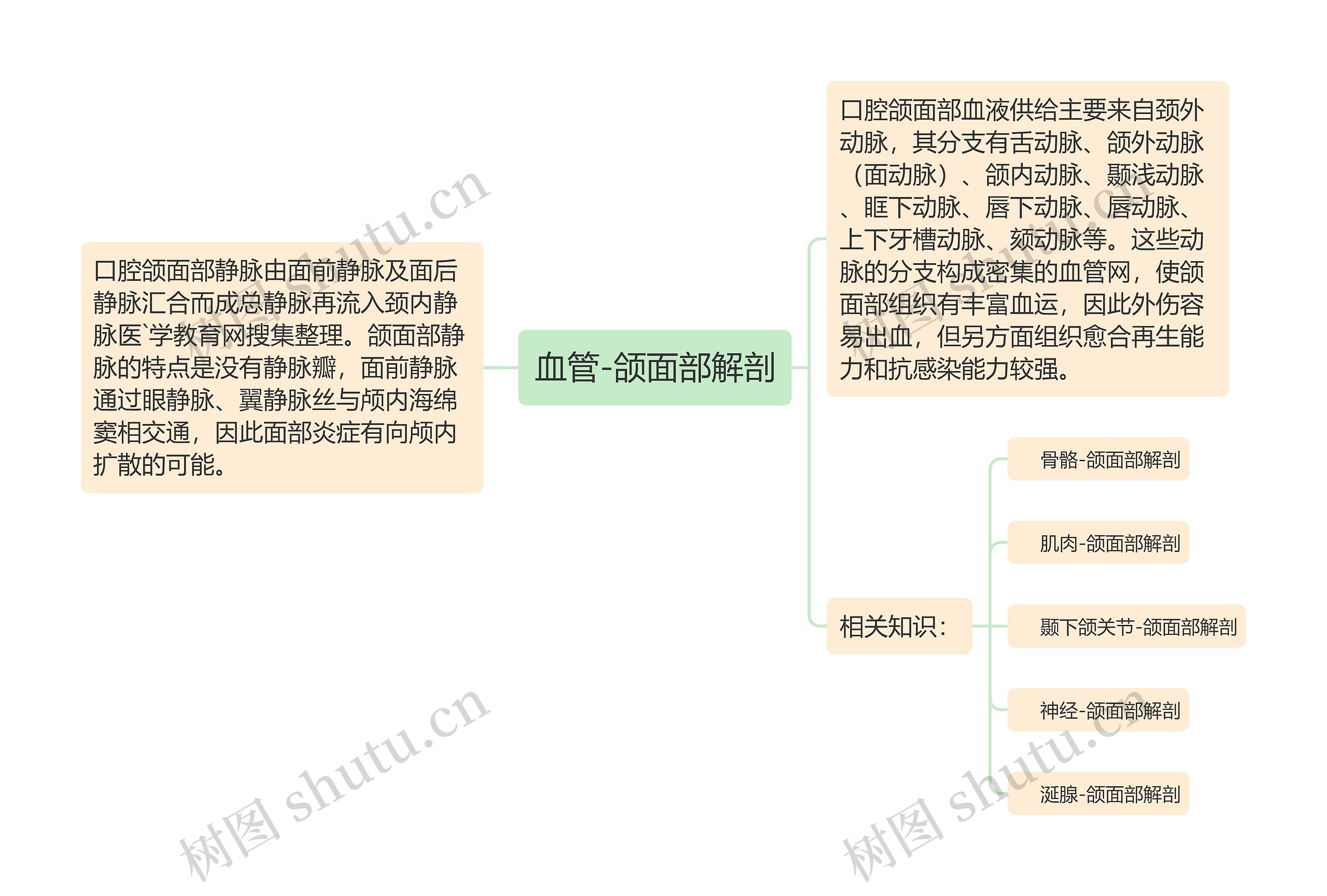 血管-颌面部解剖思维导图