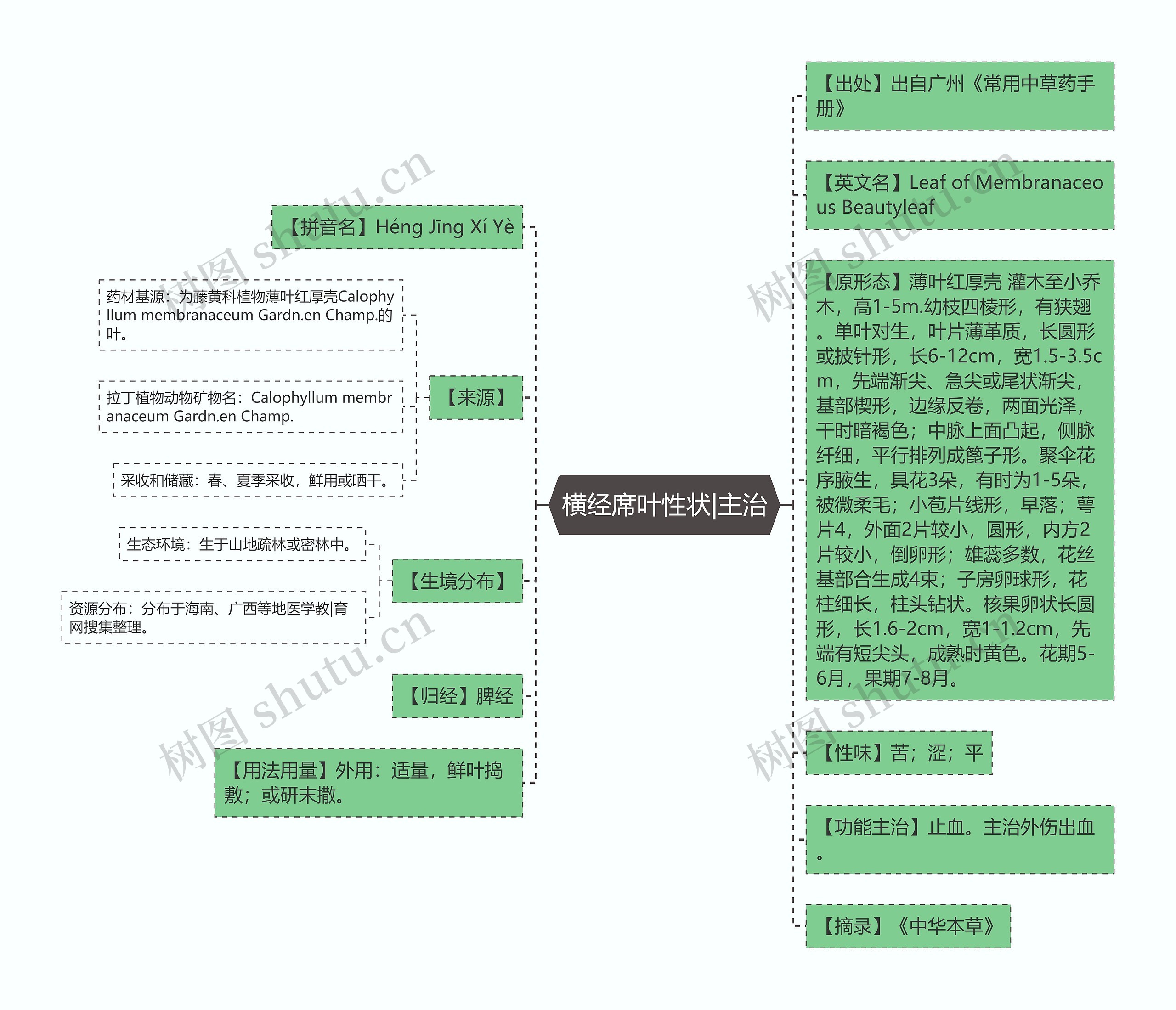 横经席叶性状|主治思维导图