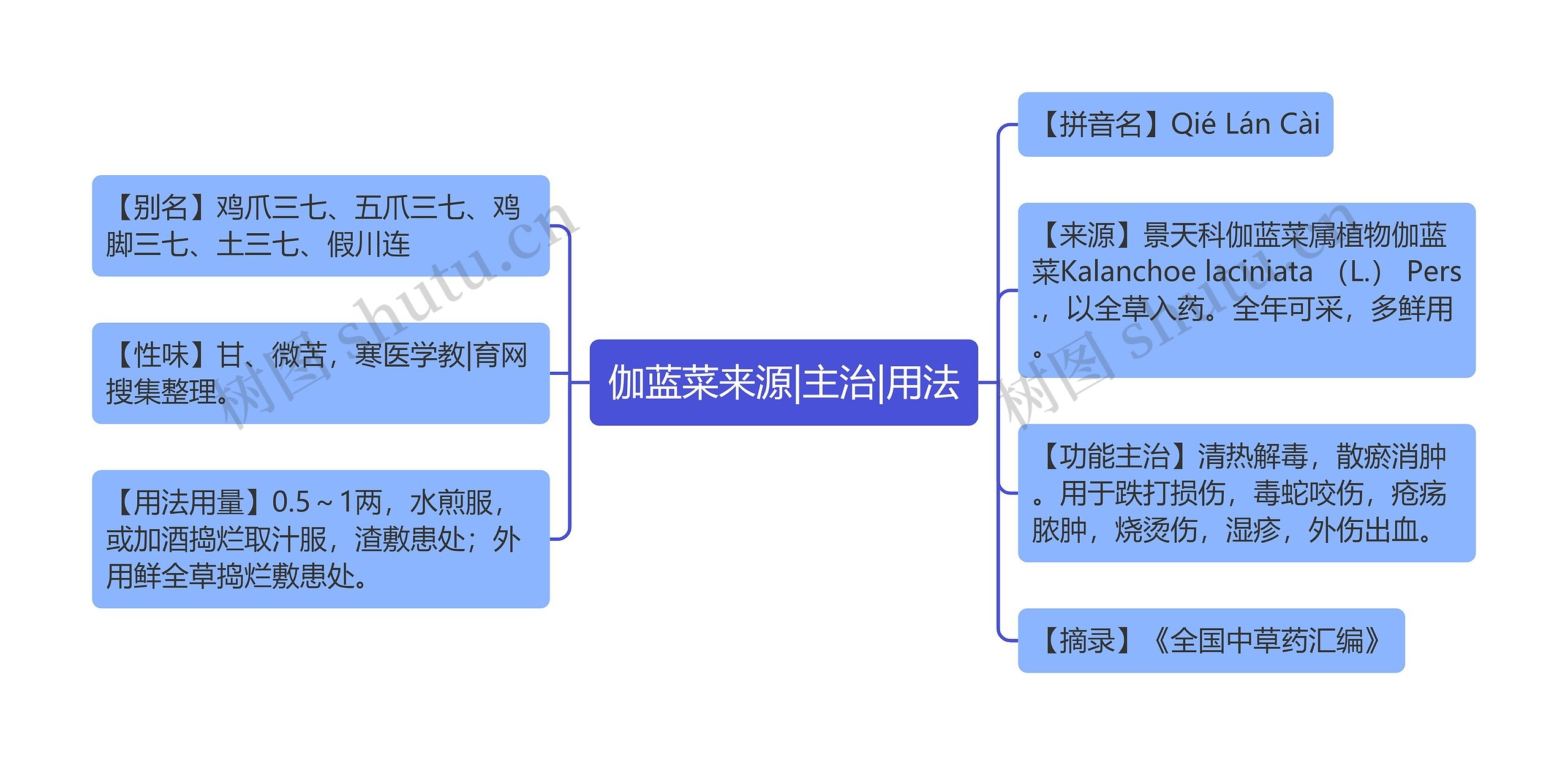 伽蓝菜来源|主治|用法思维导图