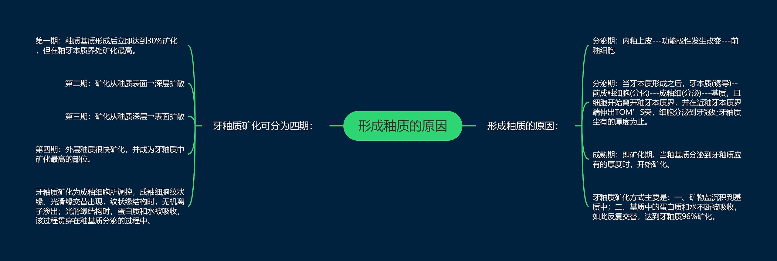 形成釉质的原因思维导图