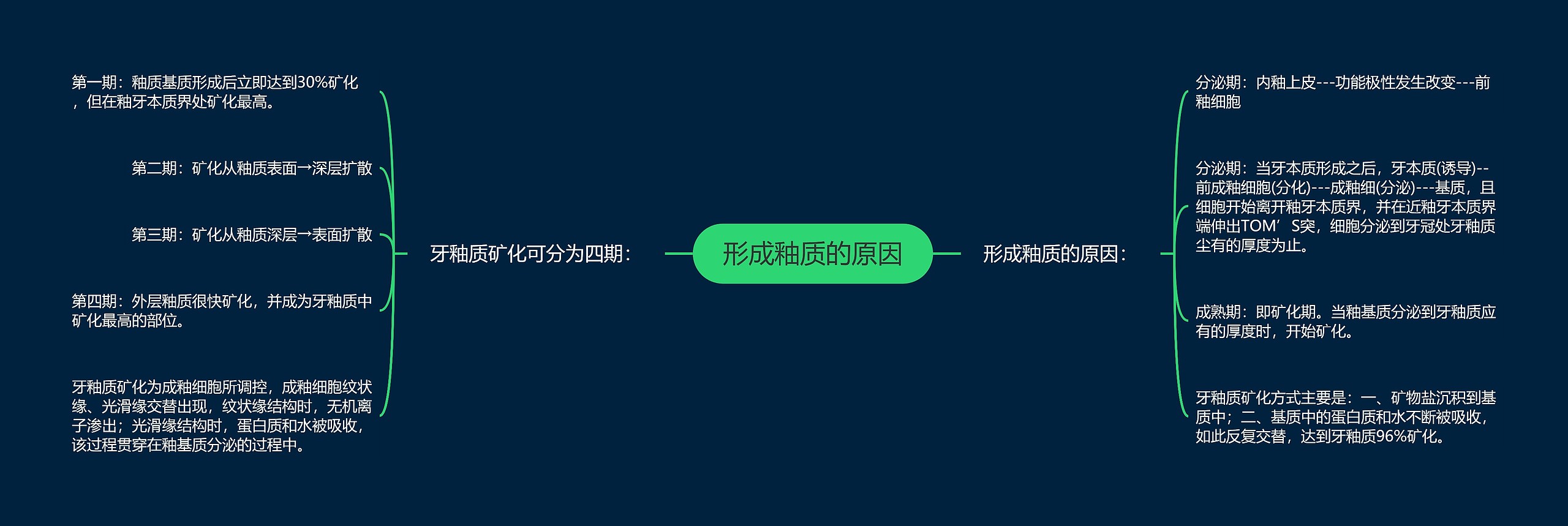 形成釉质的原因 形成釉质的原因