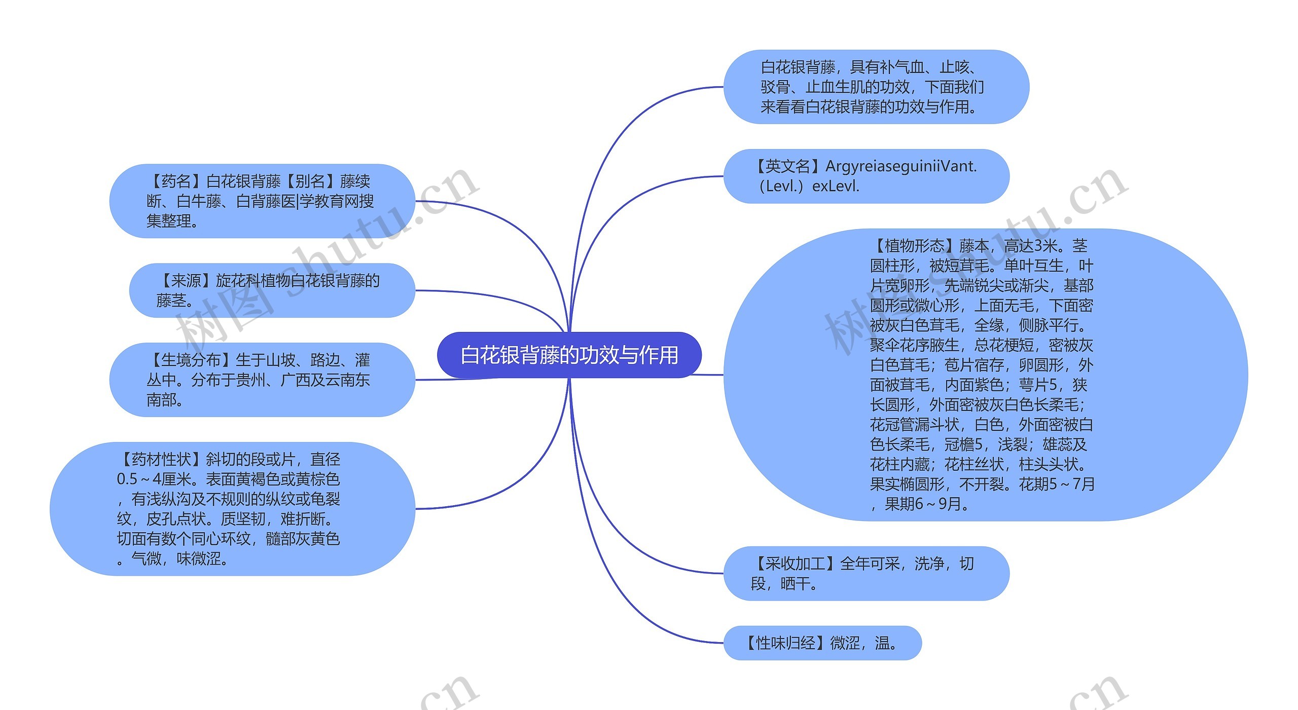 白花银背藤的功效与作用思维导图