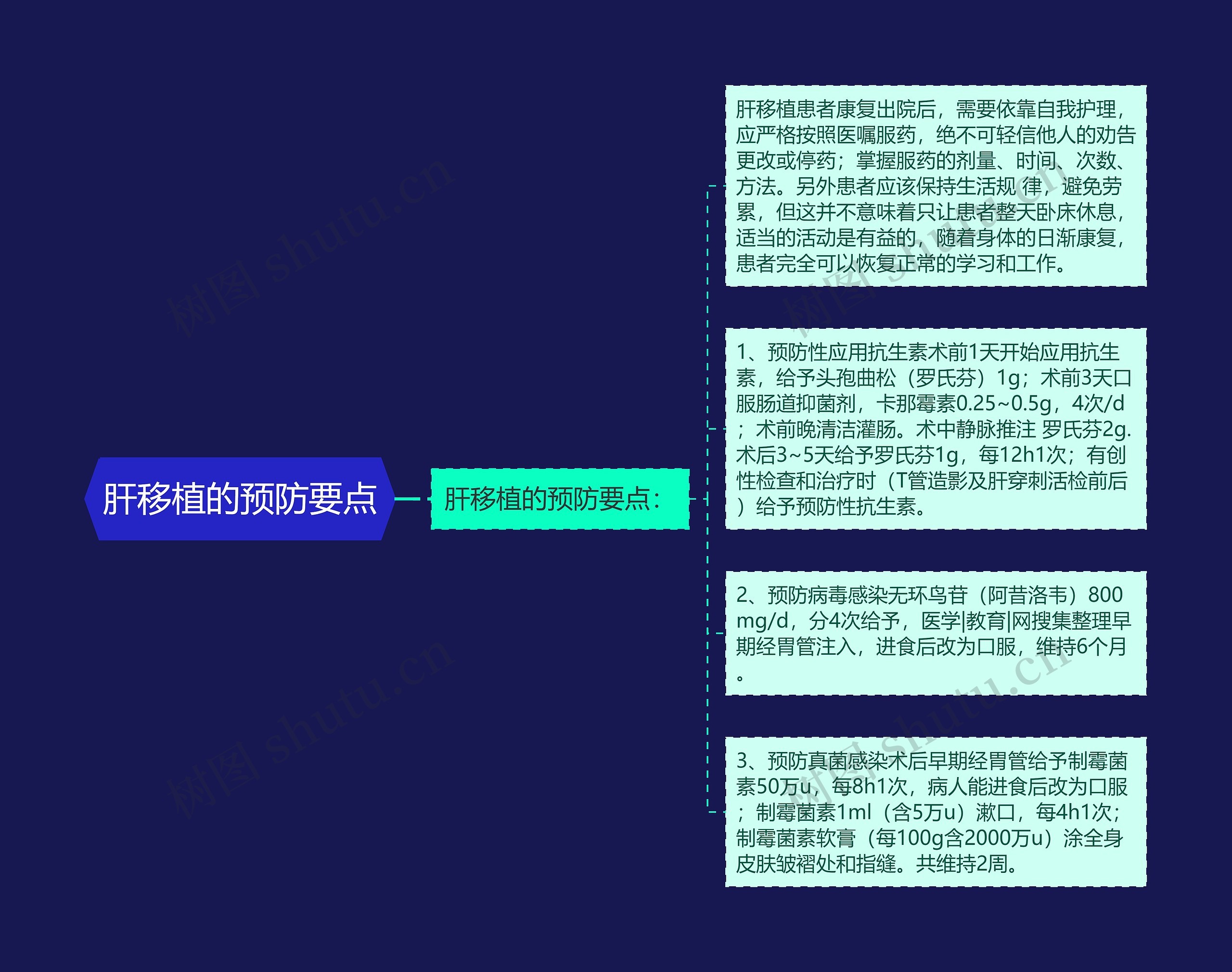 肝移植的预防要点 肝移植的预防要点