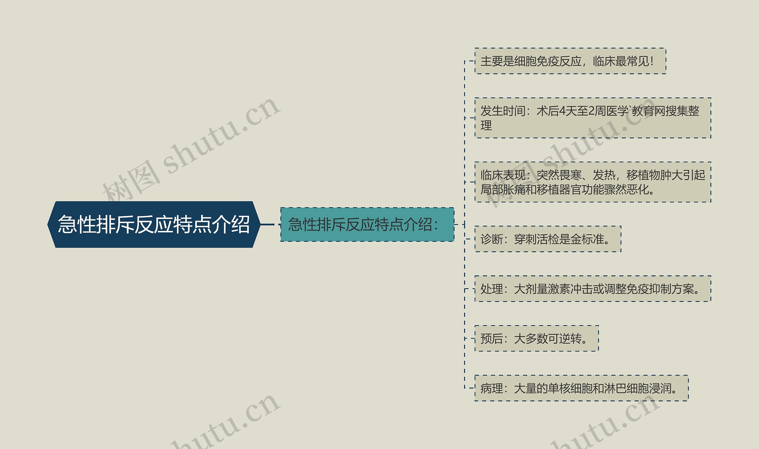 急性排斥反应特点介绍 急性排斥反应特点介绍