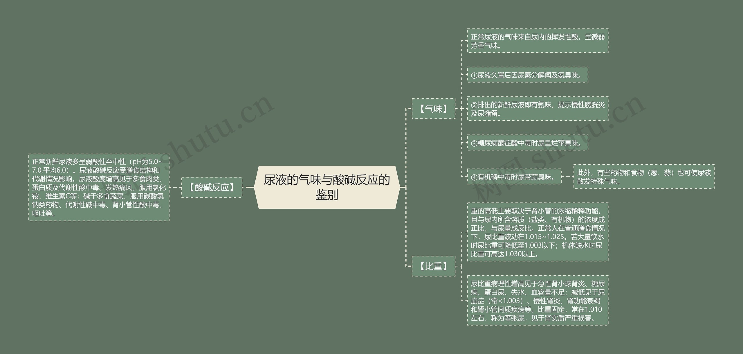 尿液的气味与酸碱反应的鉴别思维导图