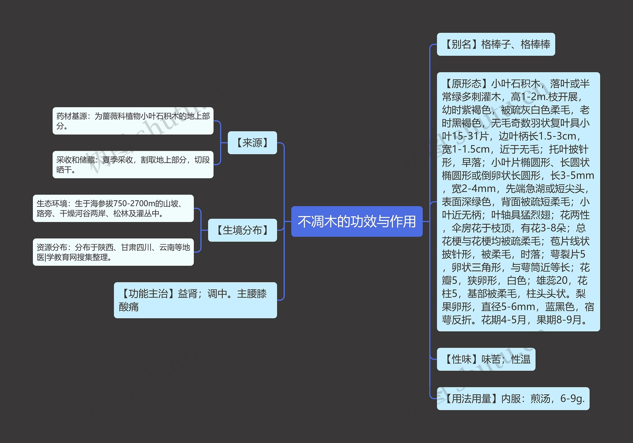 不凋木的功效与作用思维导图