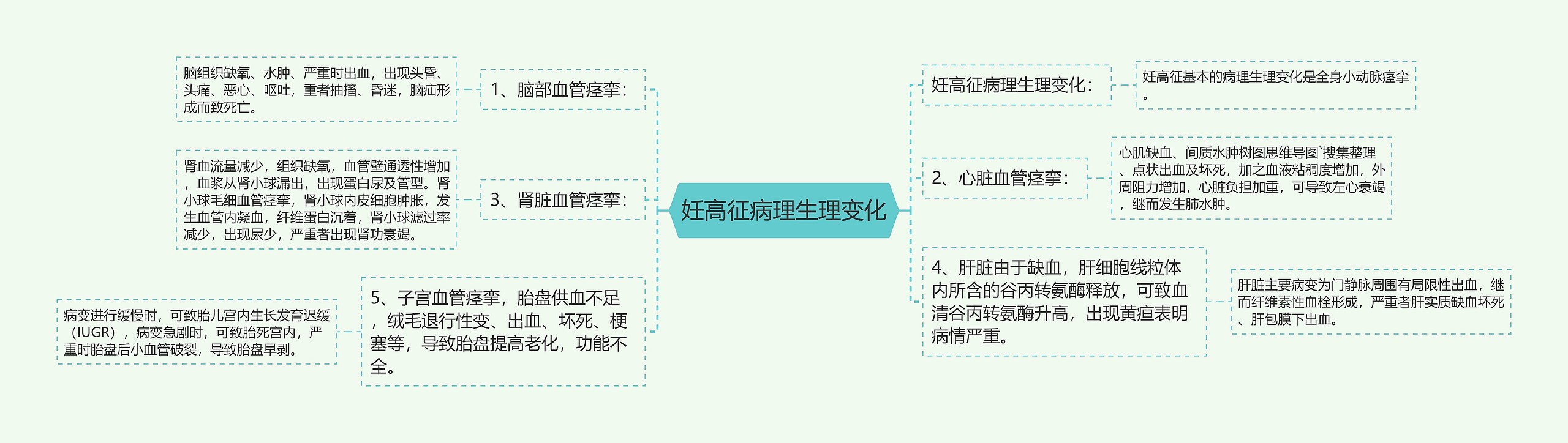 妊高征病理生理变化思维导图