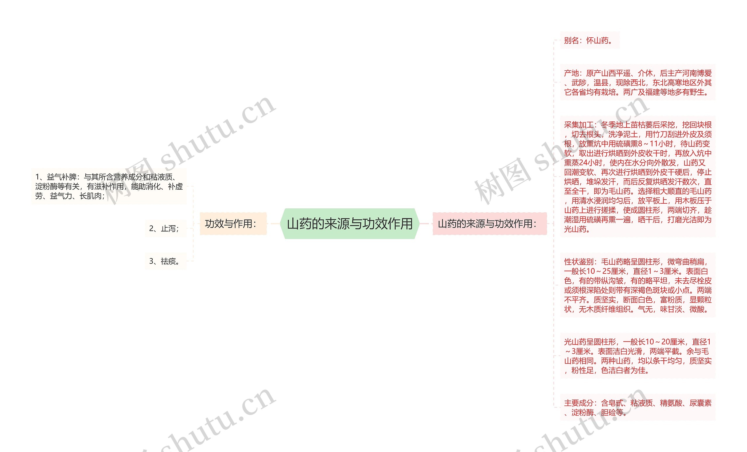 山药的来源与功效作用思维导图