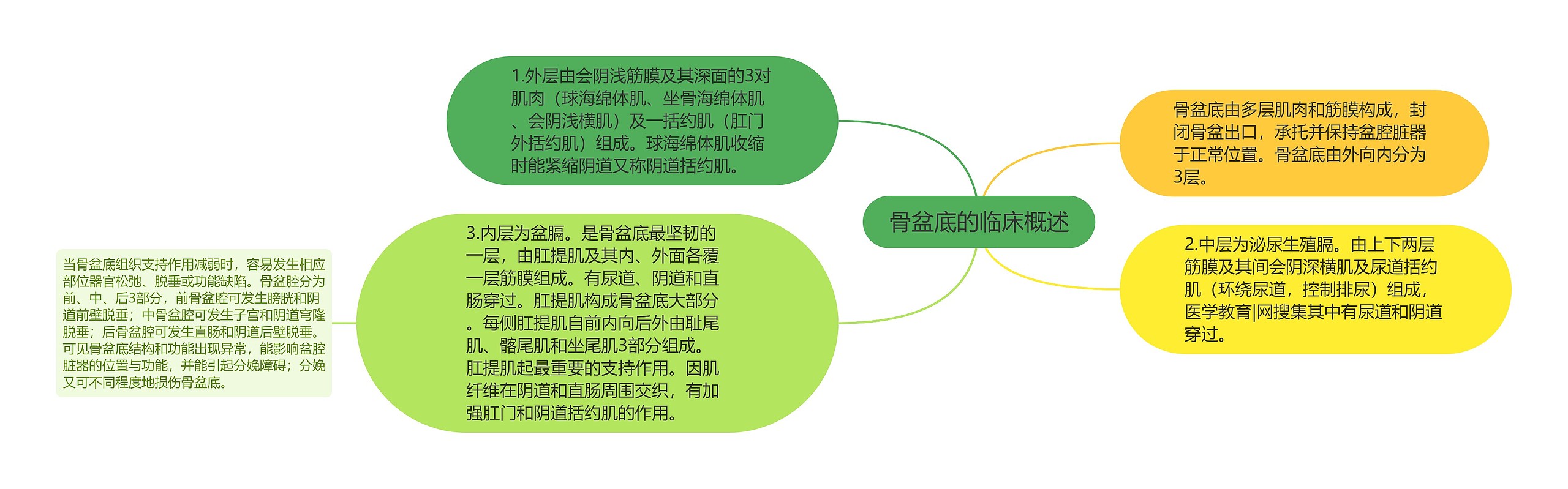 骨盆底的临床概述思维导图