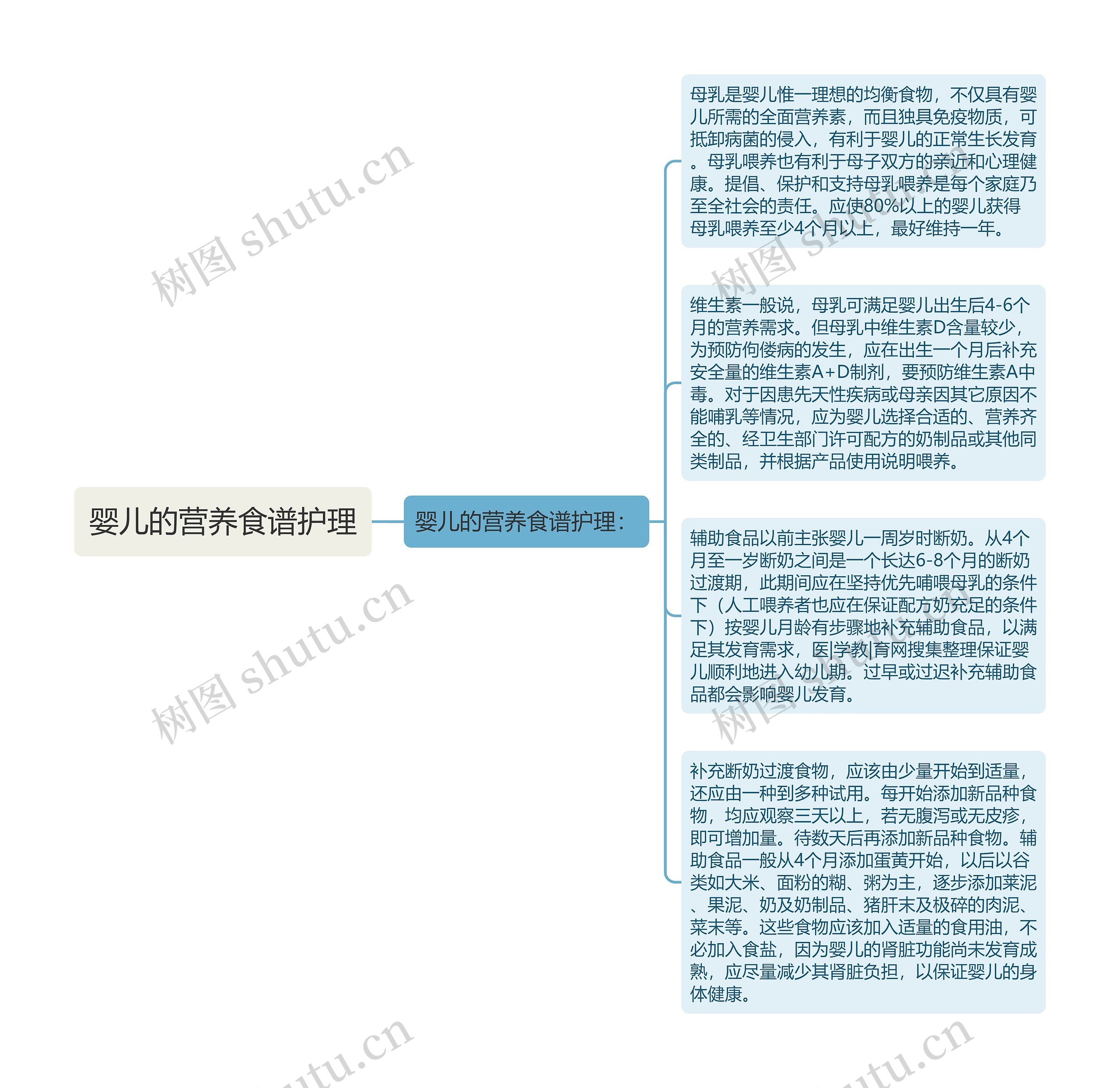 婴儿的营养食谱护理