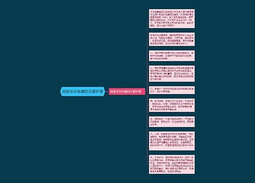 抢救羊水栓塞的主要护理