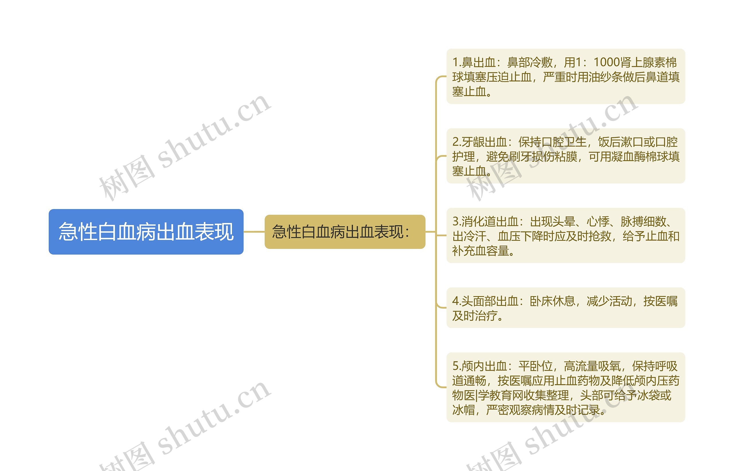 急性白血病出血表现