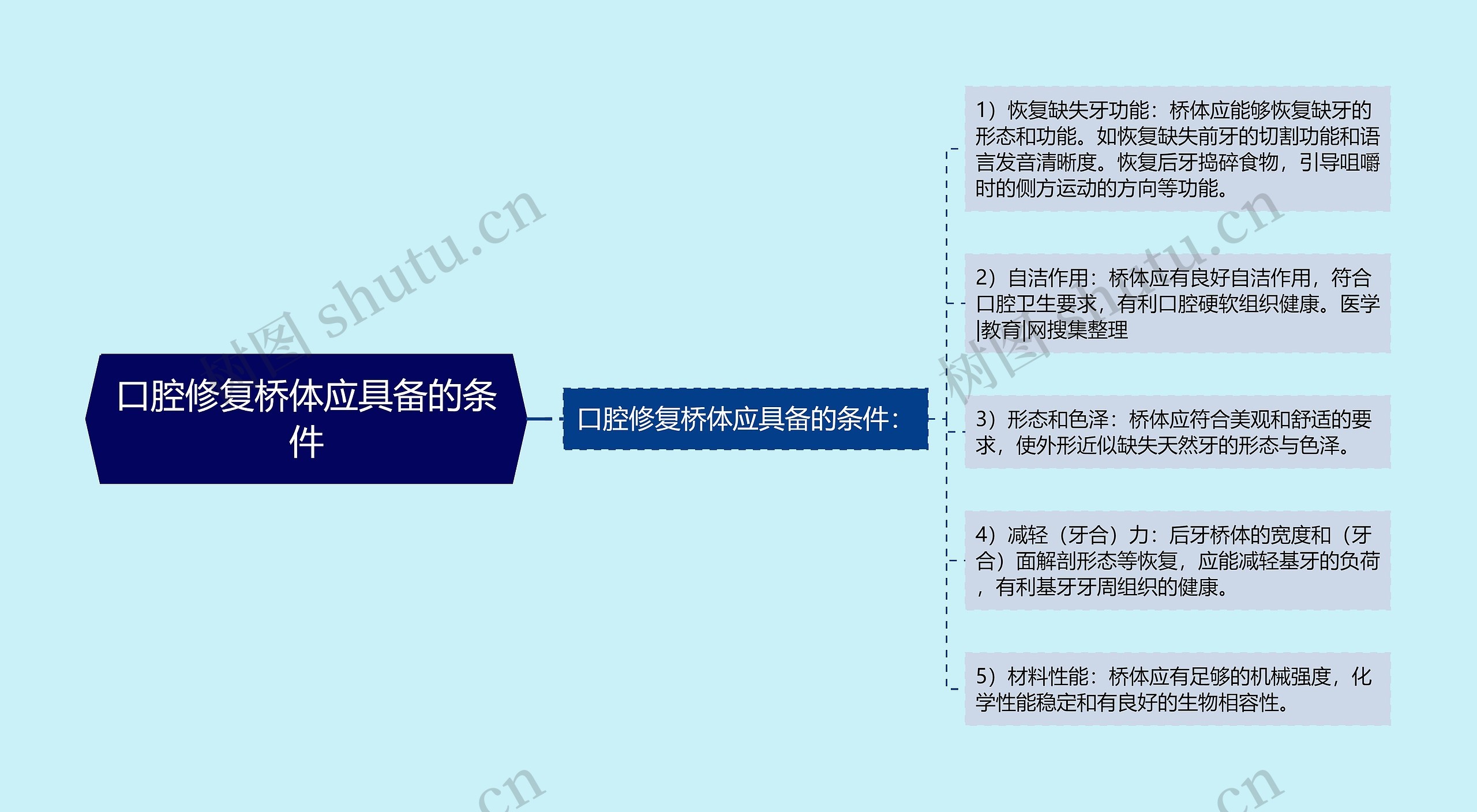 口腔修复桥体应具备的条件