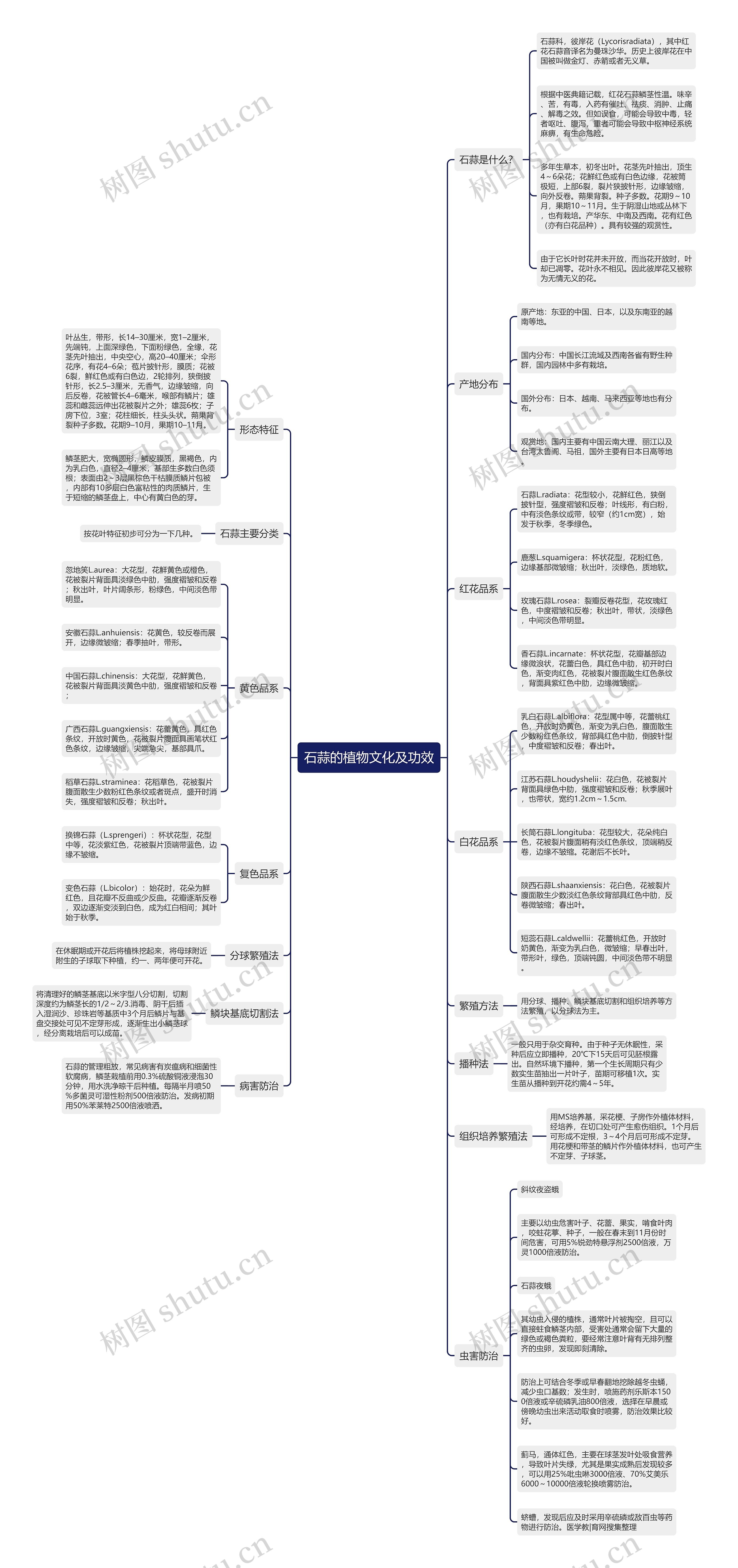 石蒜的植物文化及功效 石蒜的植物文化及功效