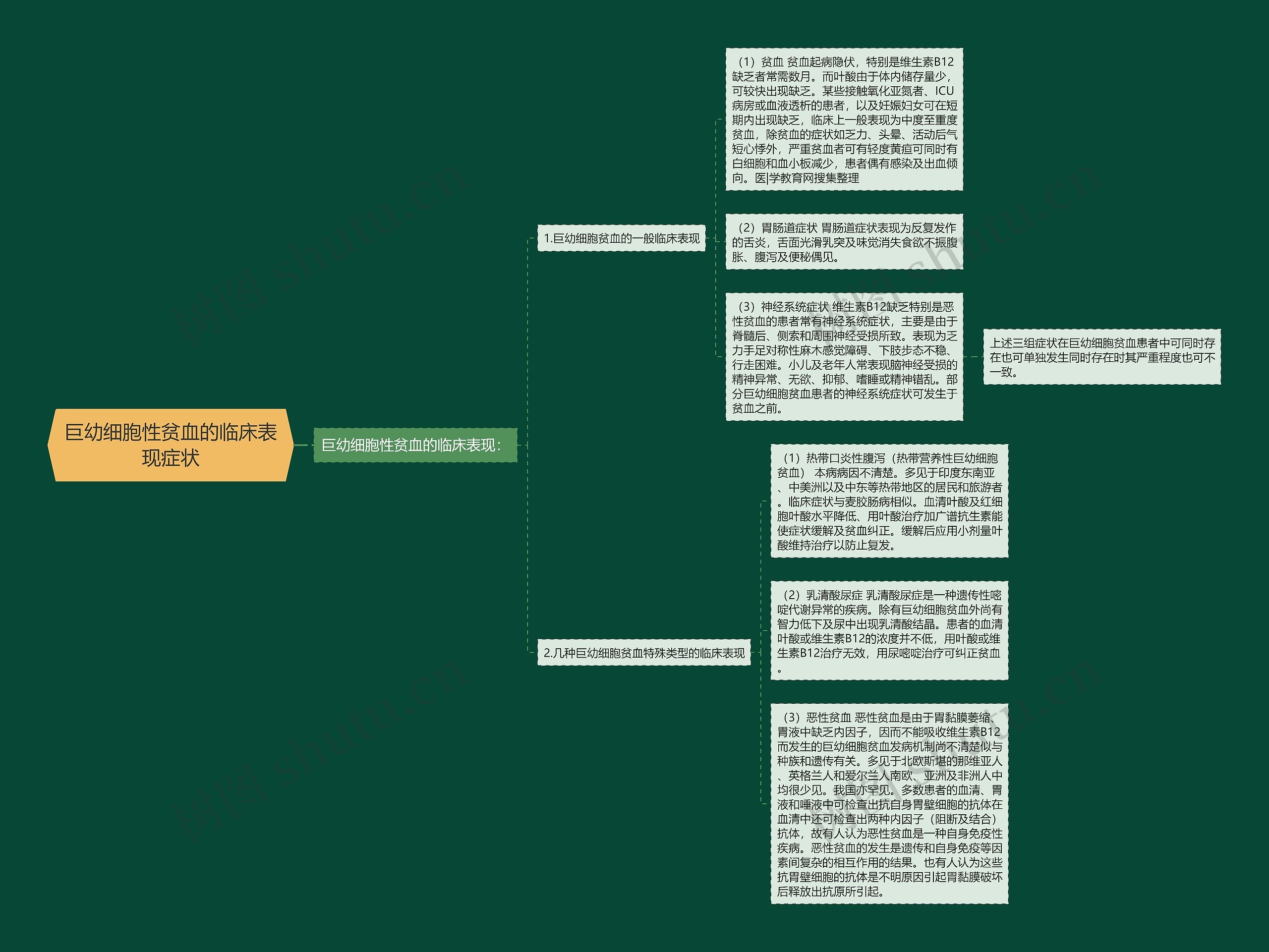 巨幼细胞性贫血的临床表现症状思维导图