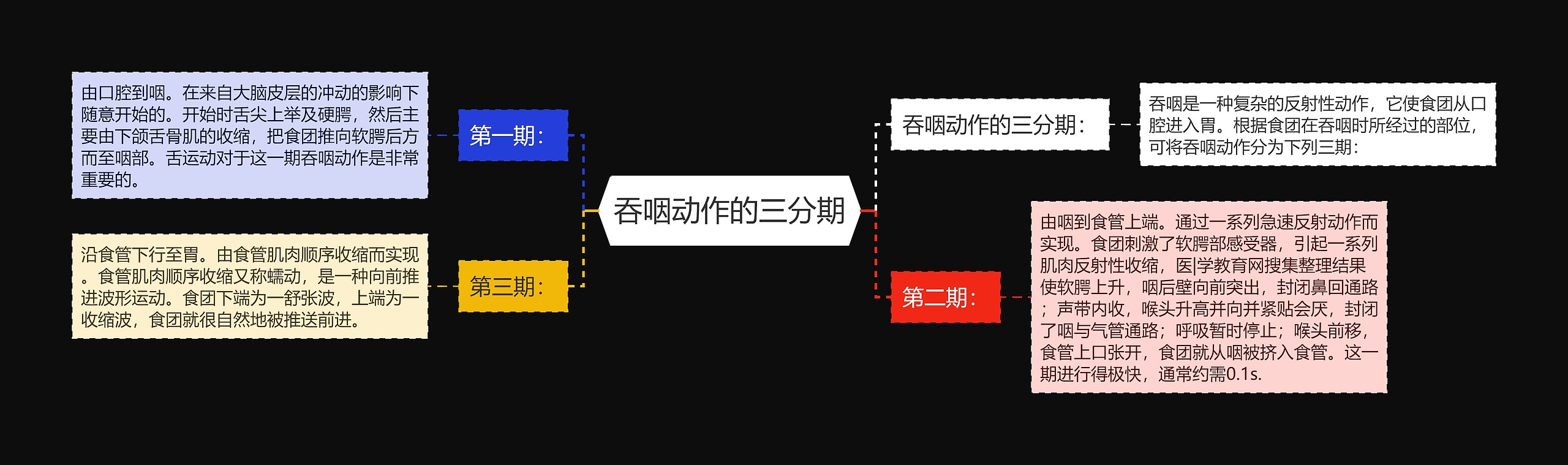 吞咽动作的三分期 吞咽动作的三分期