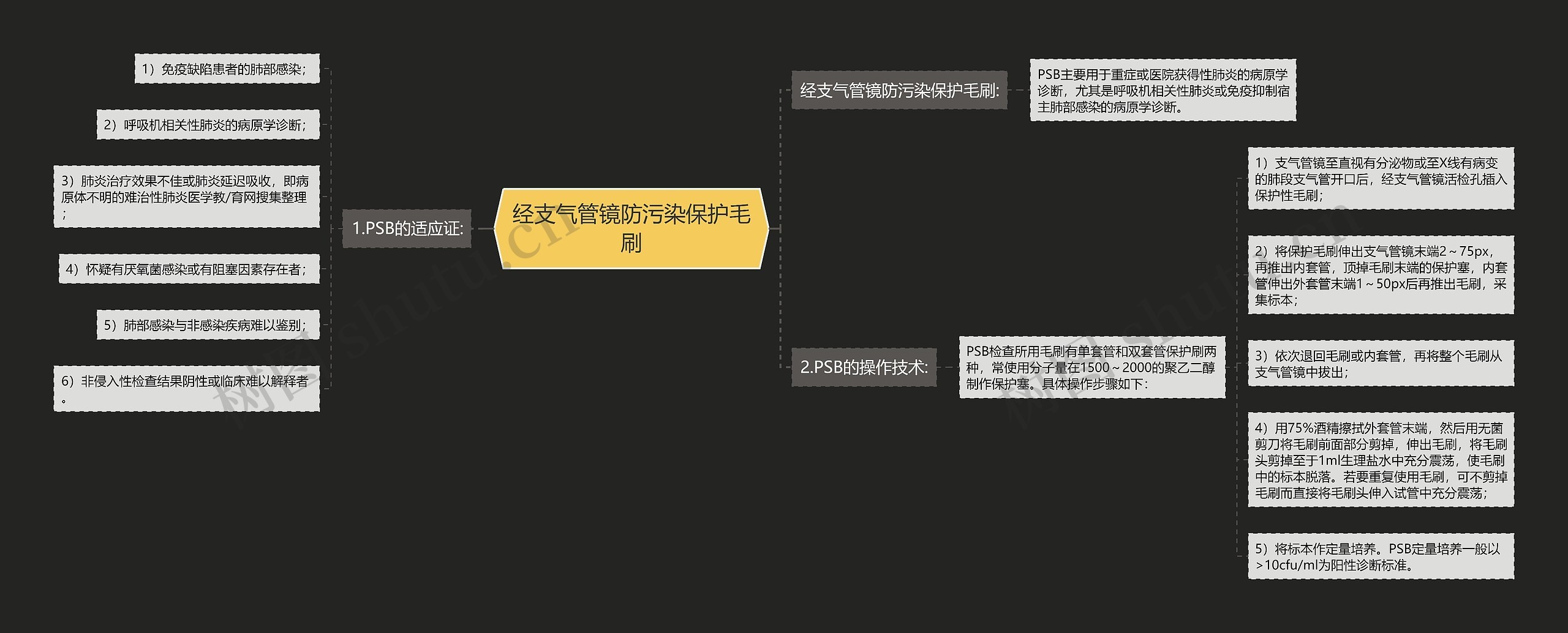 经支气管镜防污染保护毛刷