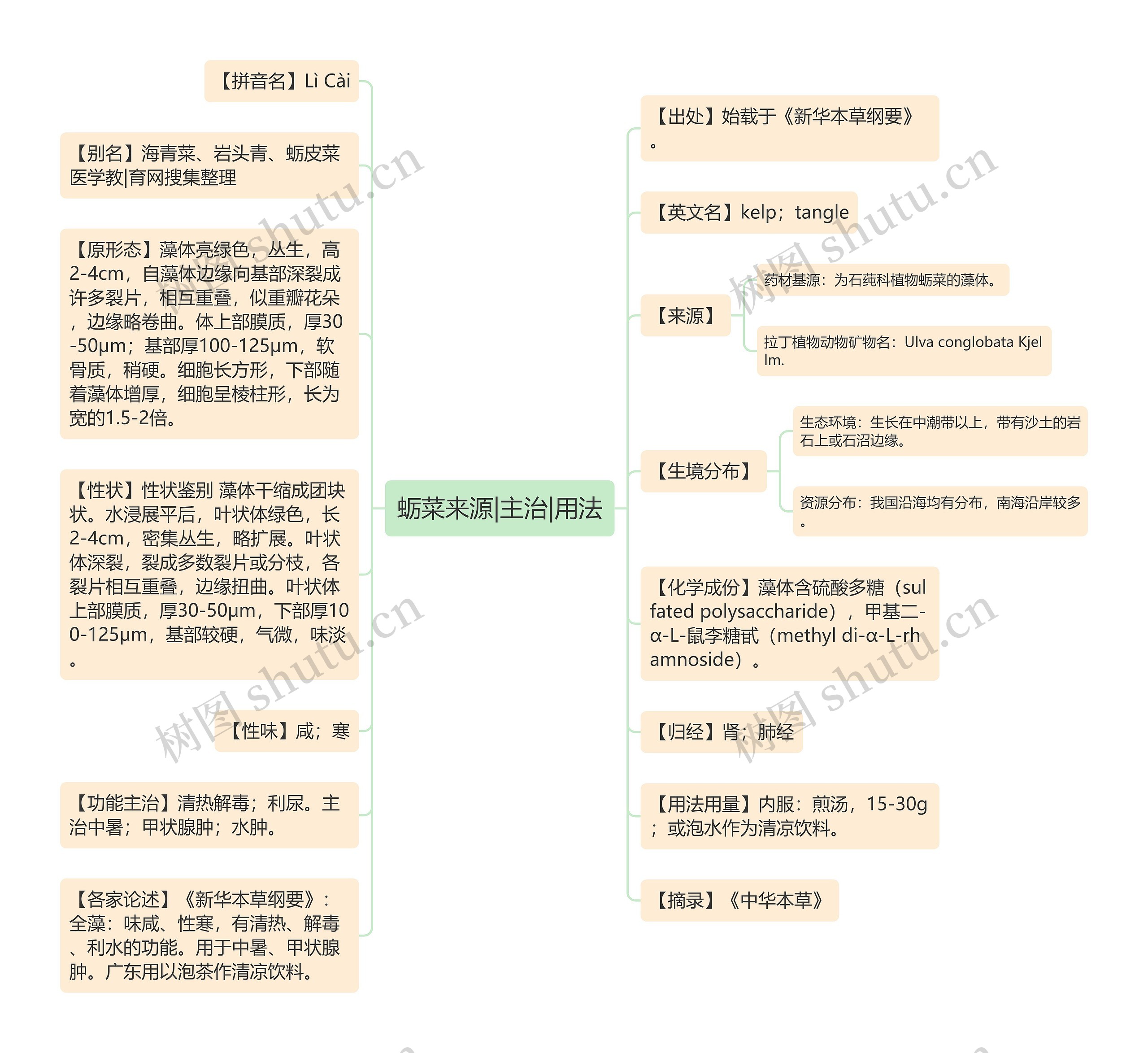 蛎菜来源|主治|用法思维导图