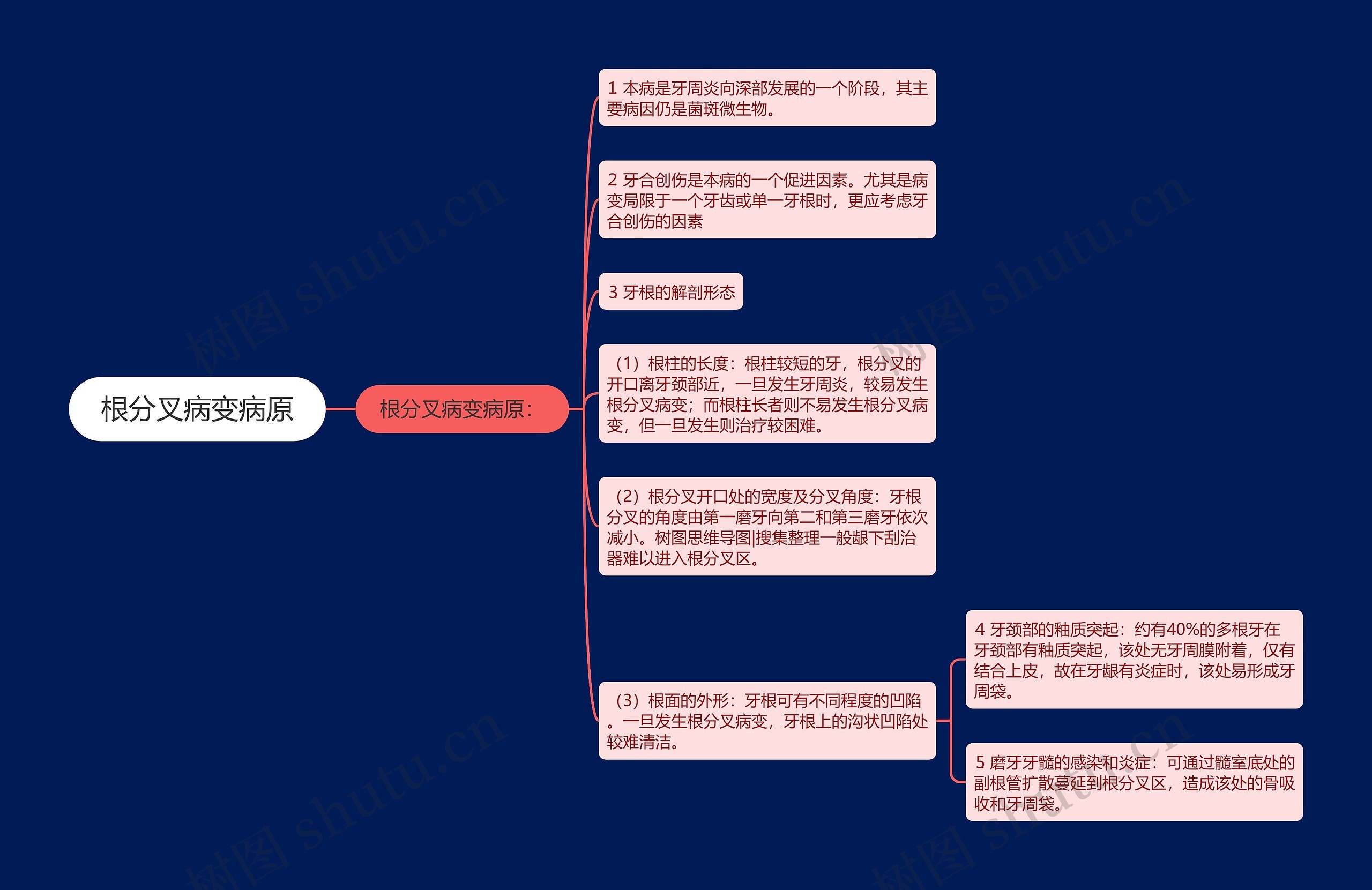 根分叉病变病原