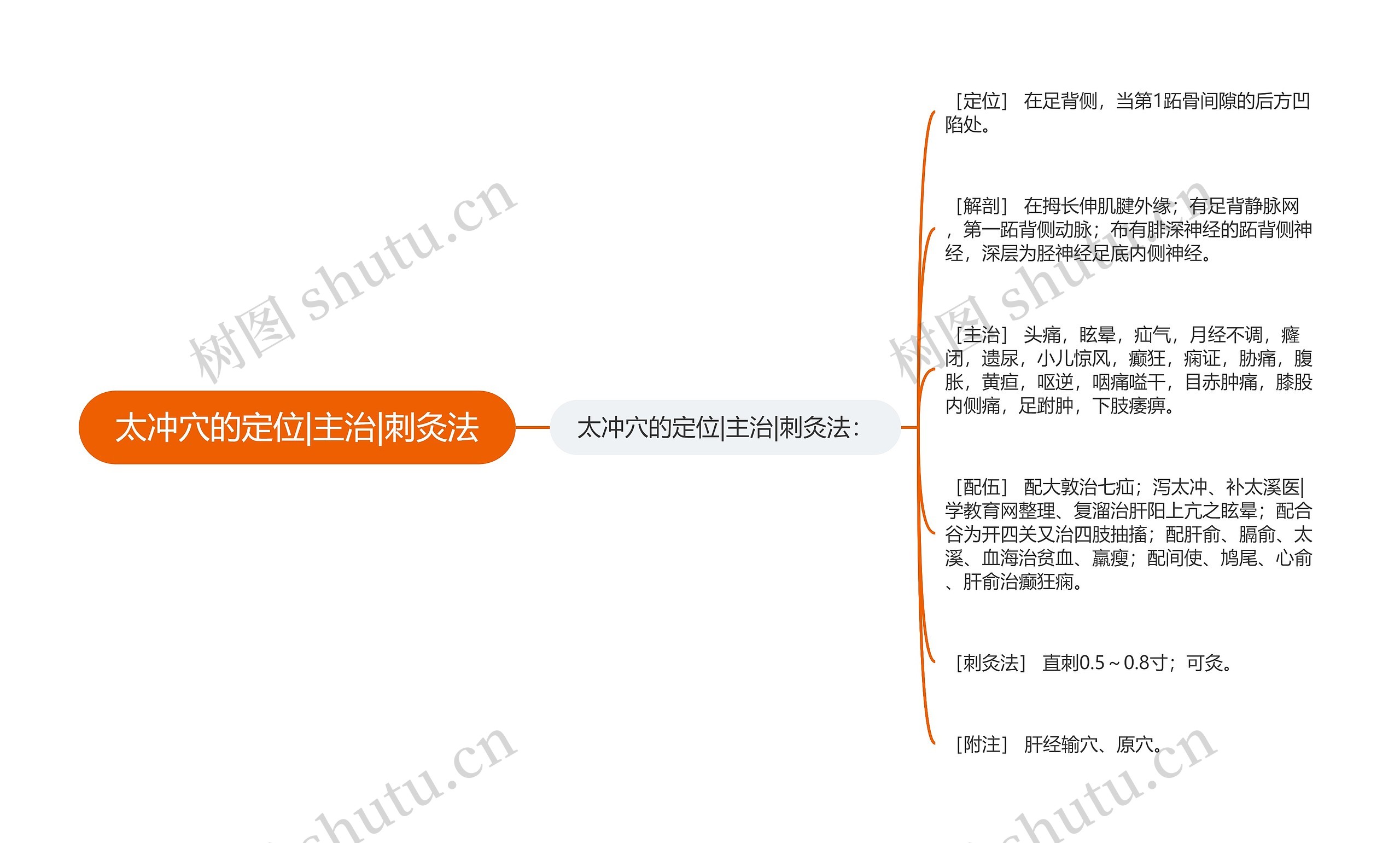 太冲穴的定位|主治|刺灸法思维导图