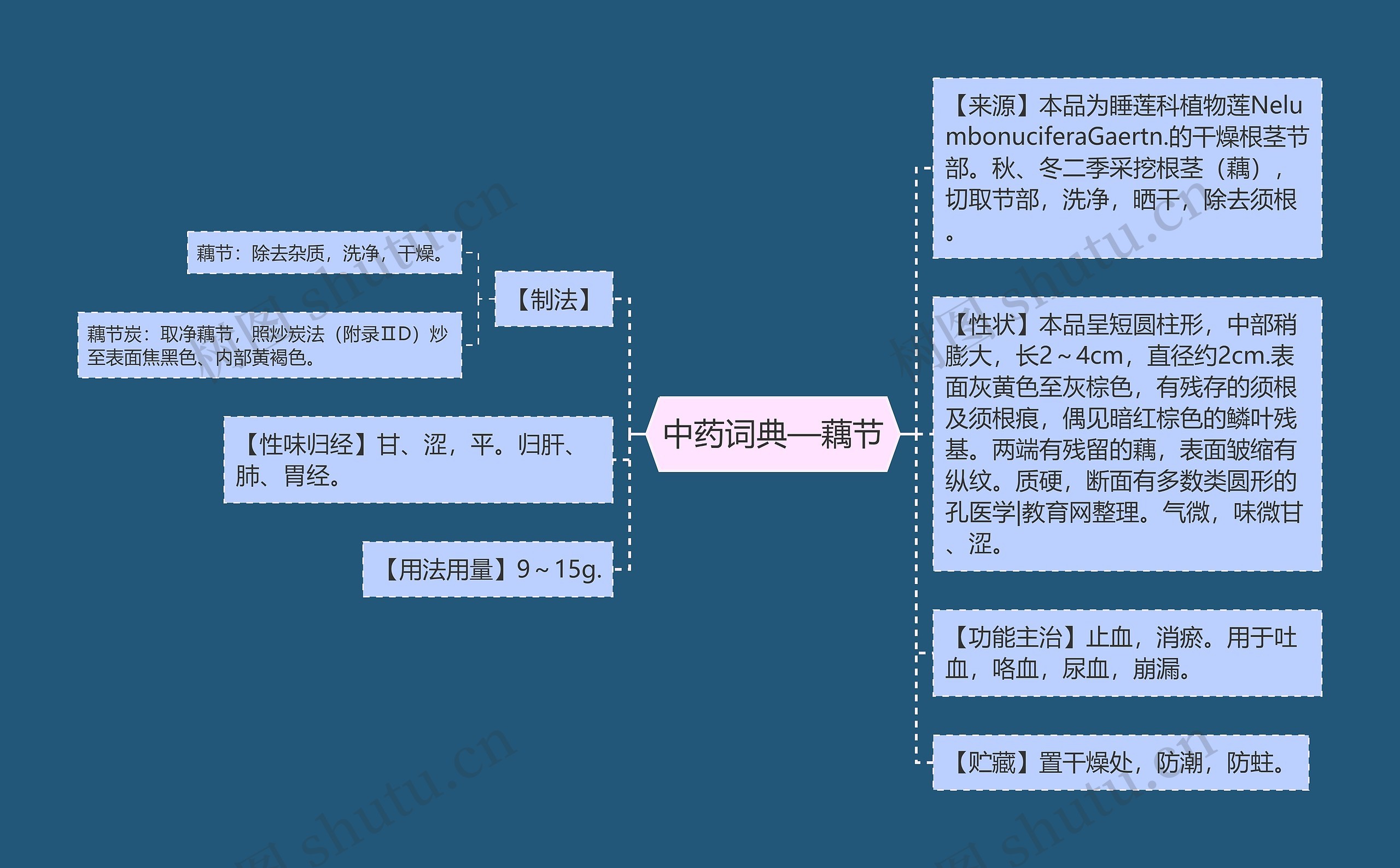 中药词典—藕节思维导图