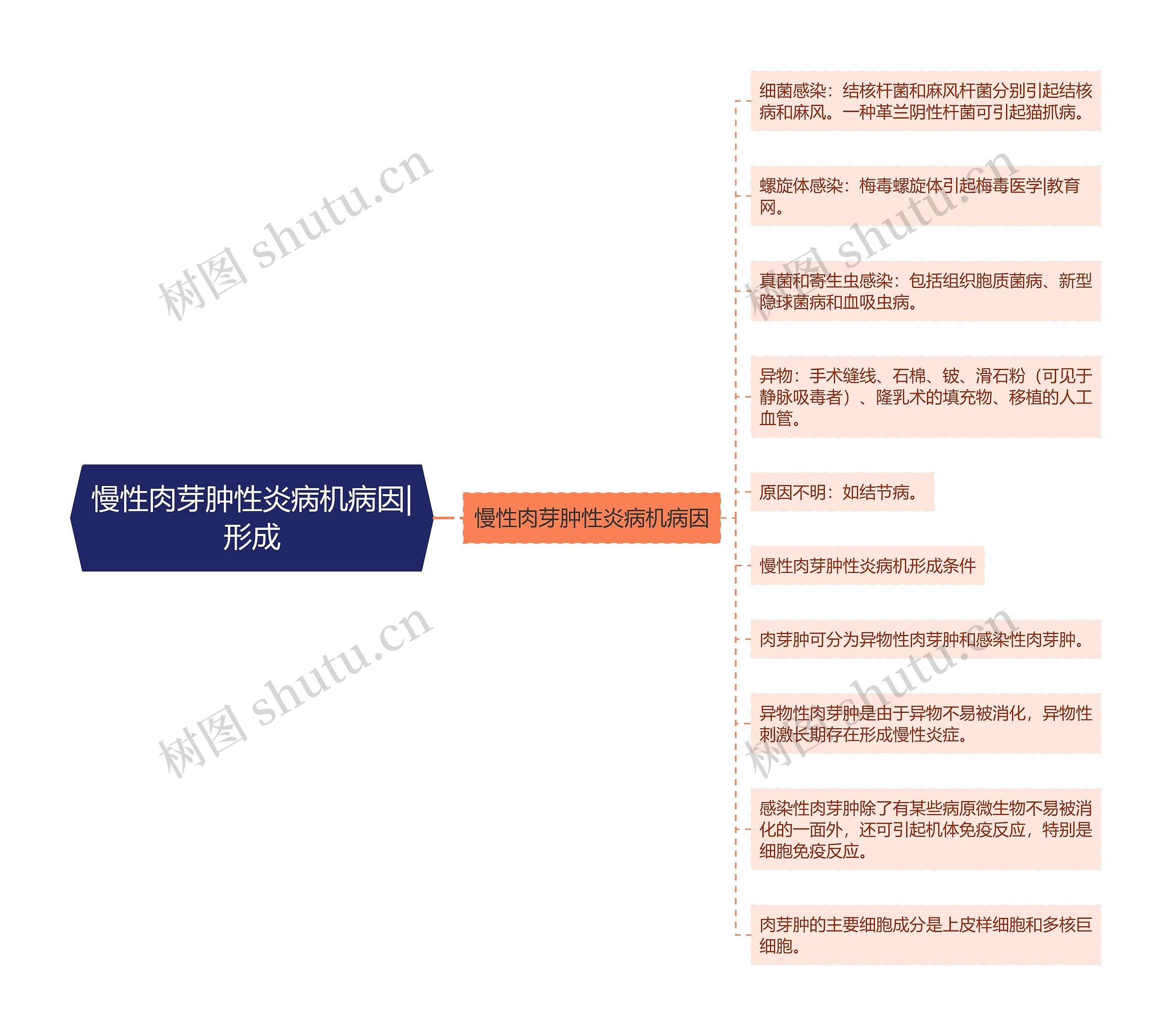 慢性肉芽肿性炎病机病因|形成思维导图