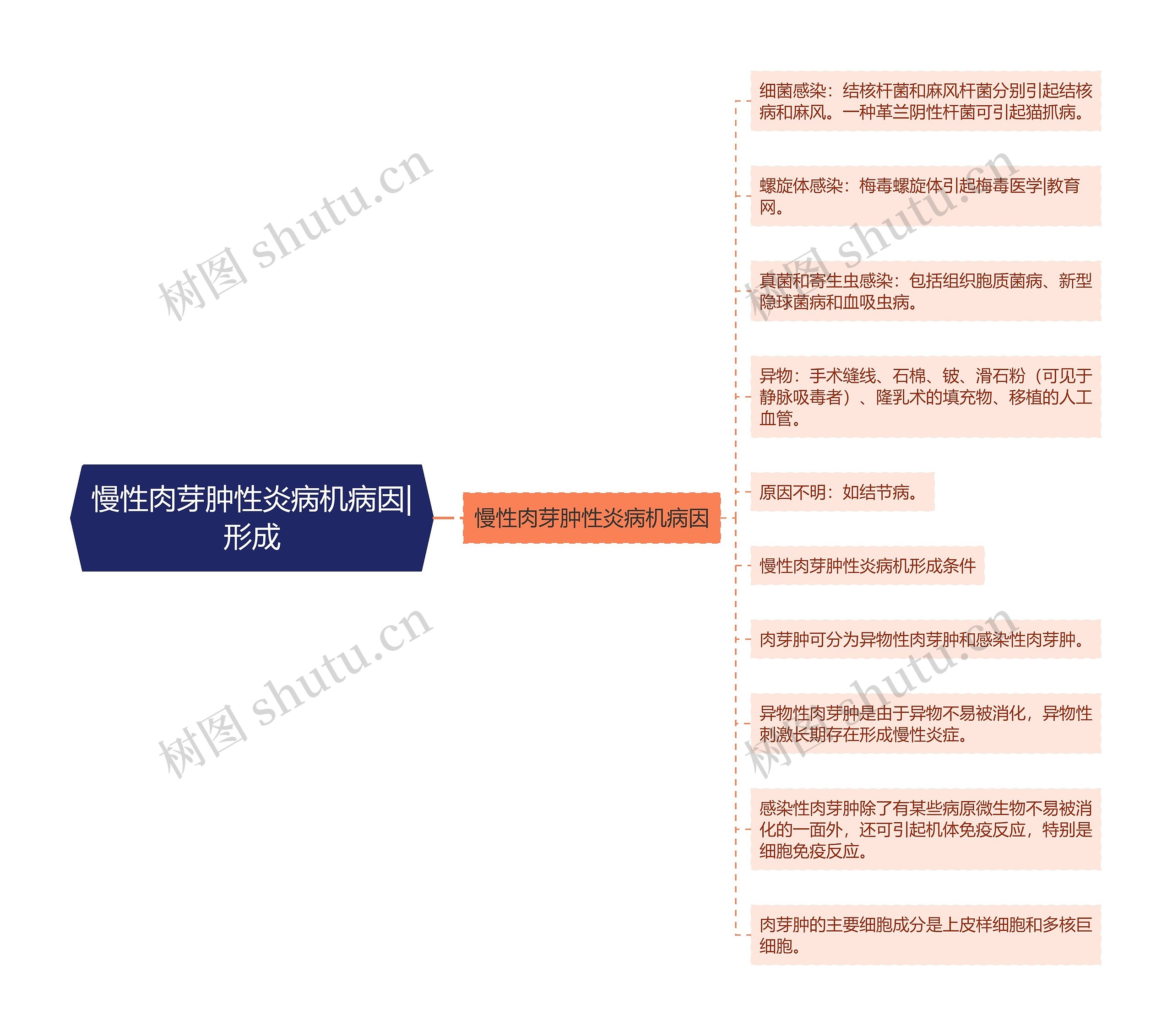 慢性肉芽肿性炎病机病因|形成 慢性肉芽肿性炎病机病因|形成