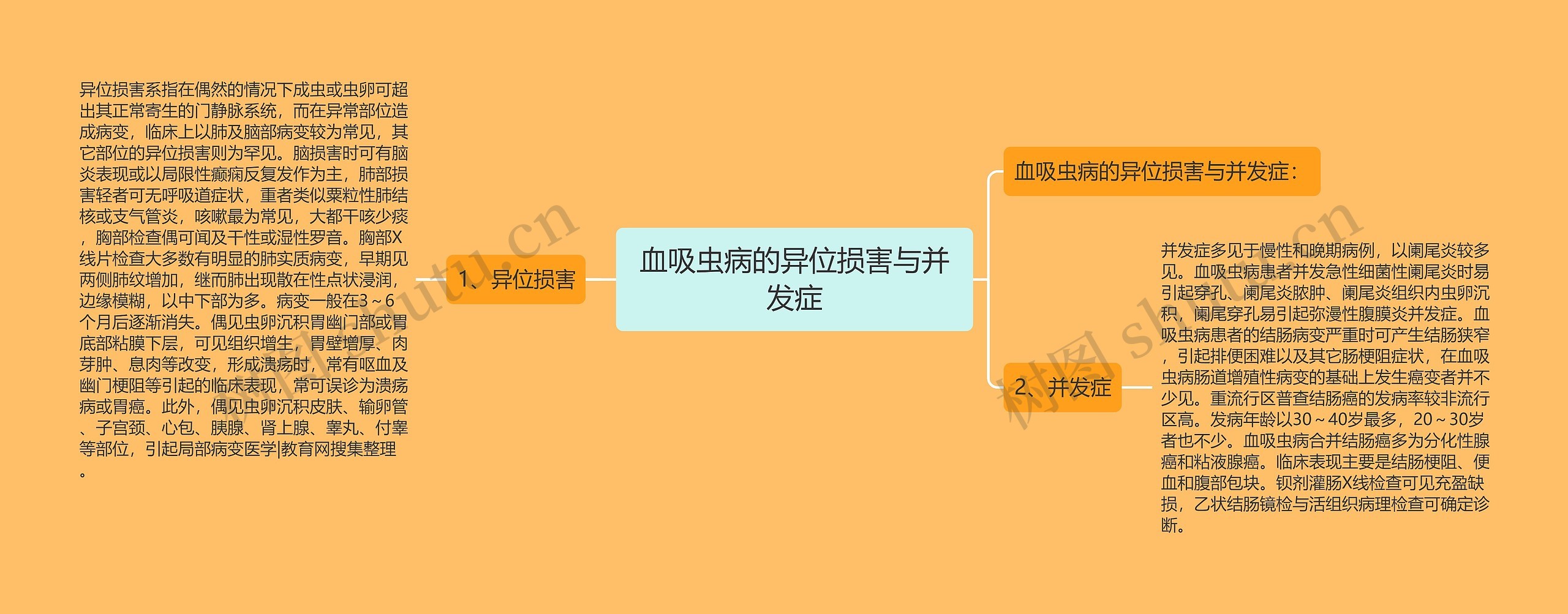 血吸虫病的异位损害与并发症思维导图