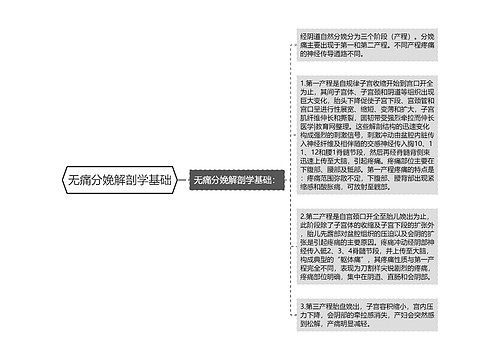 无痛分娩解剖学基础