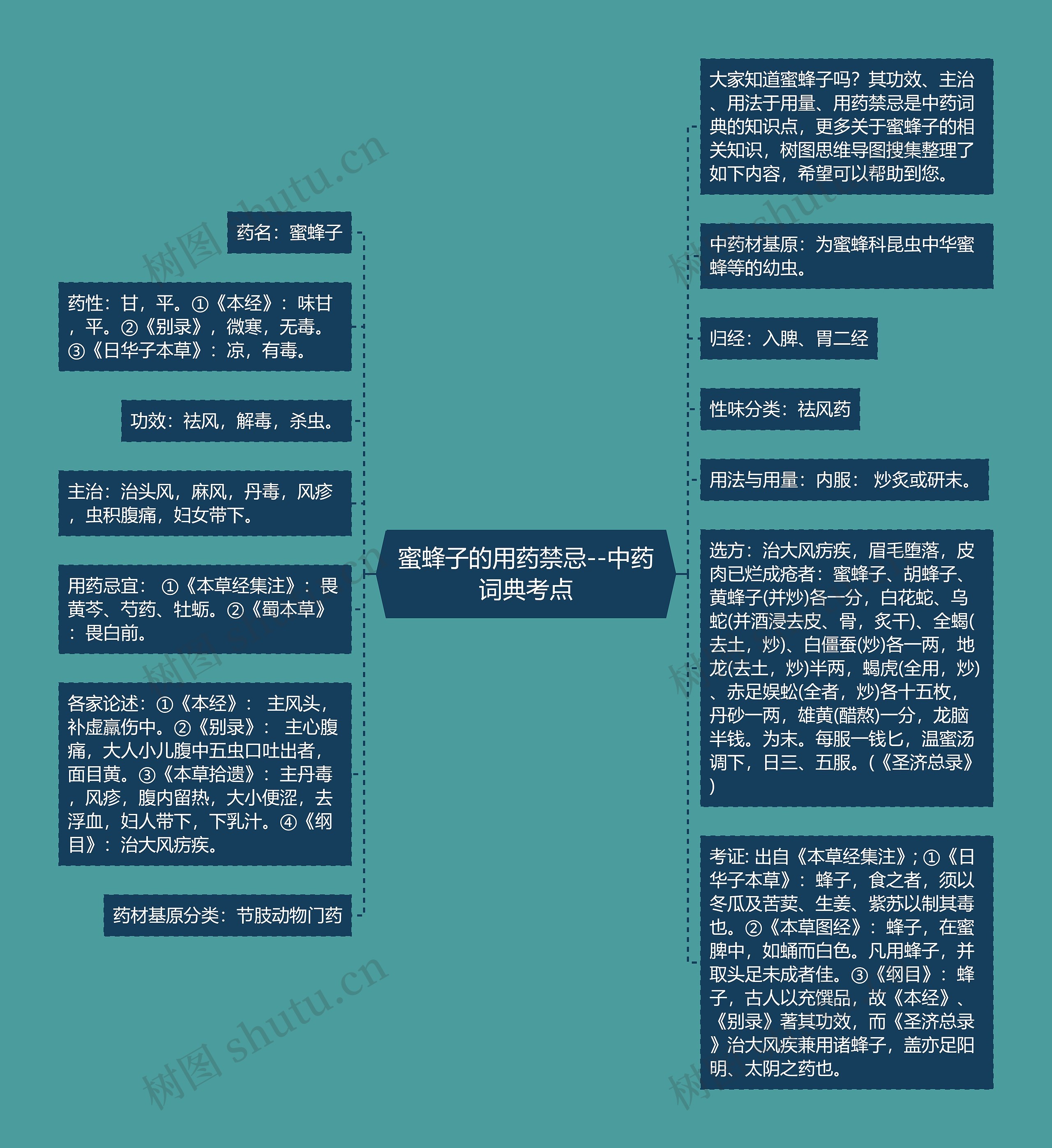 蜜蜂子的用药禁忌--中药词典考点思维导图