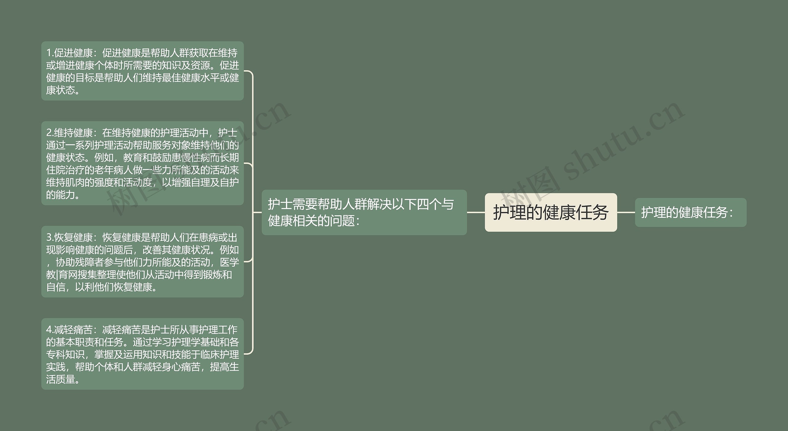 护理的健康任务