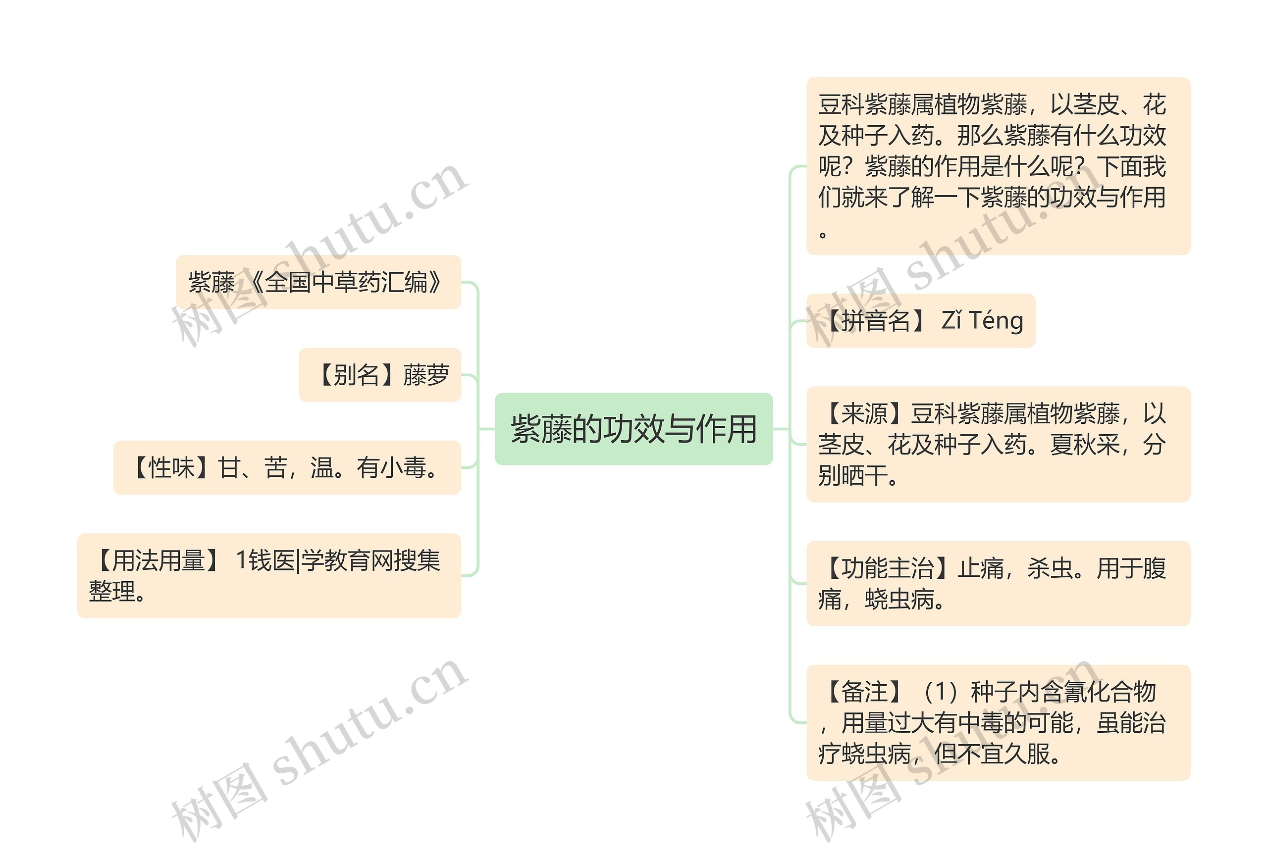 紫藤的功效与作用思维导图