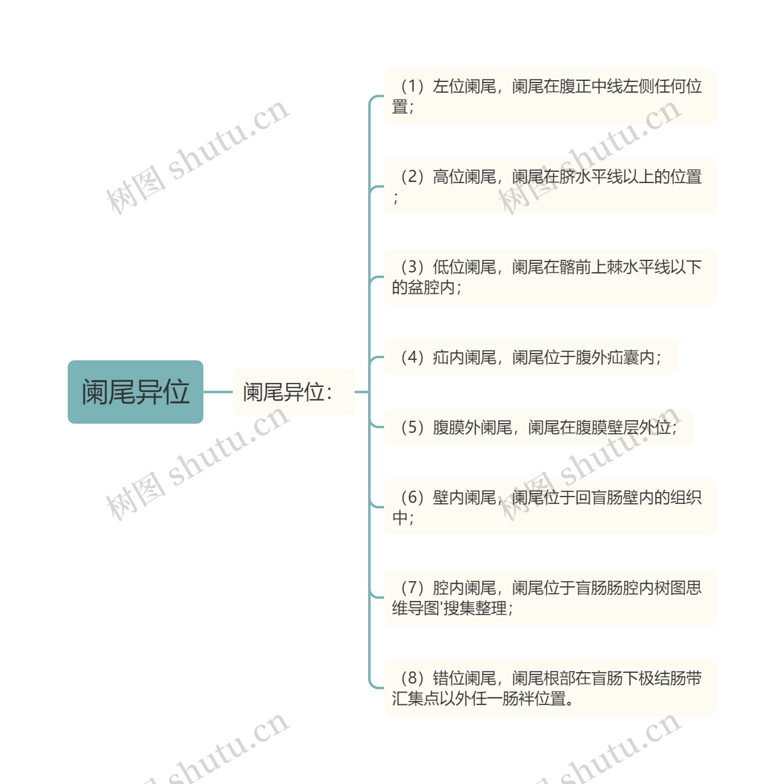 阑尾异位
