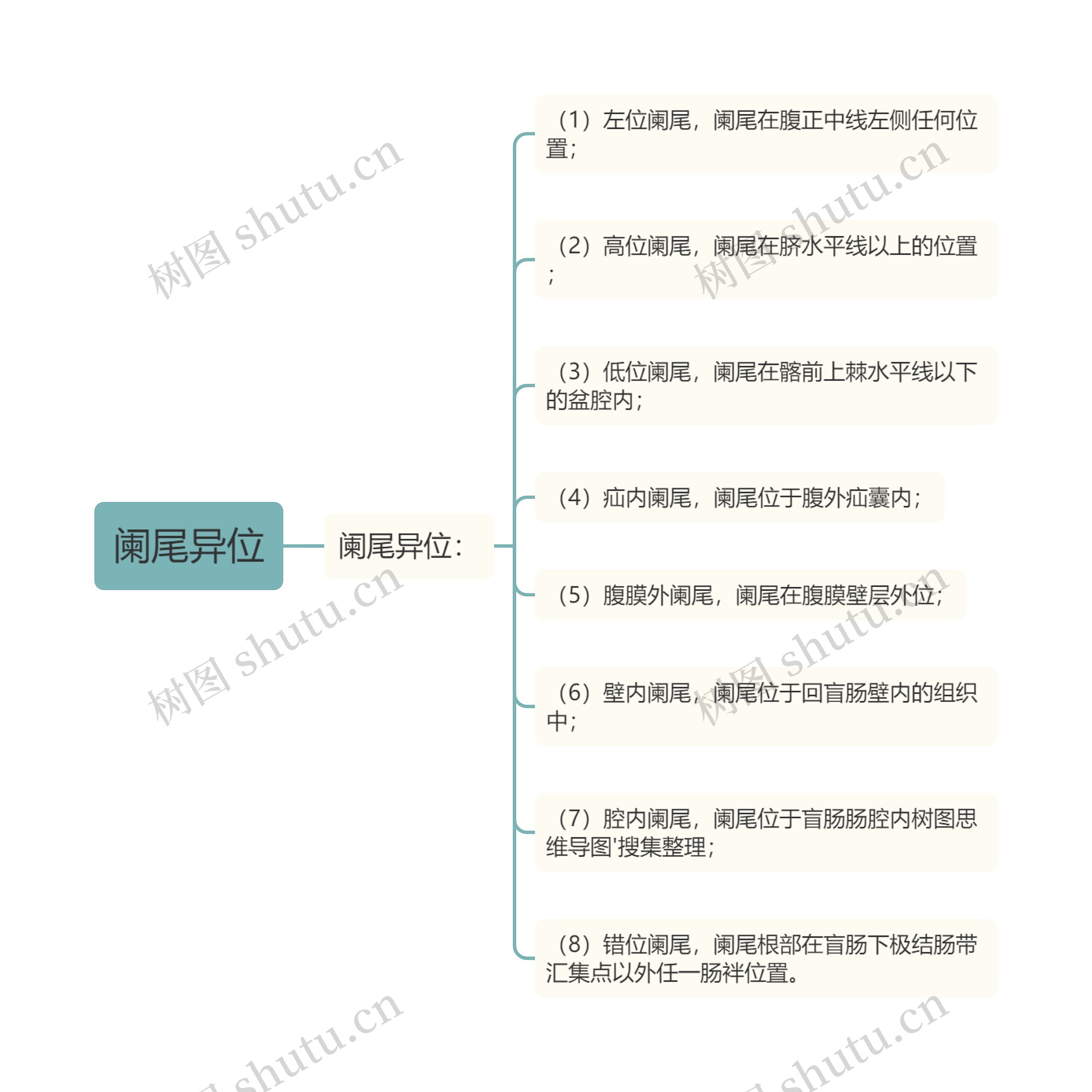 阑尾异位思维导图