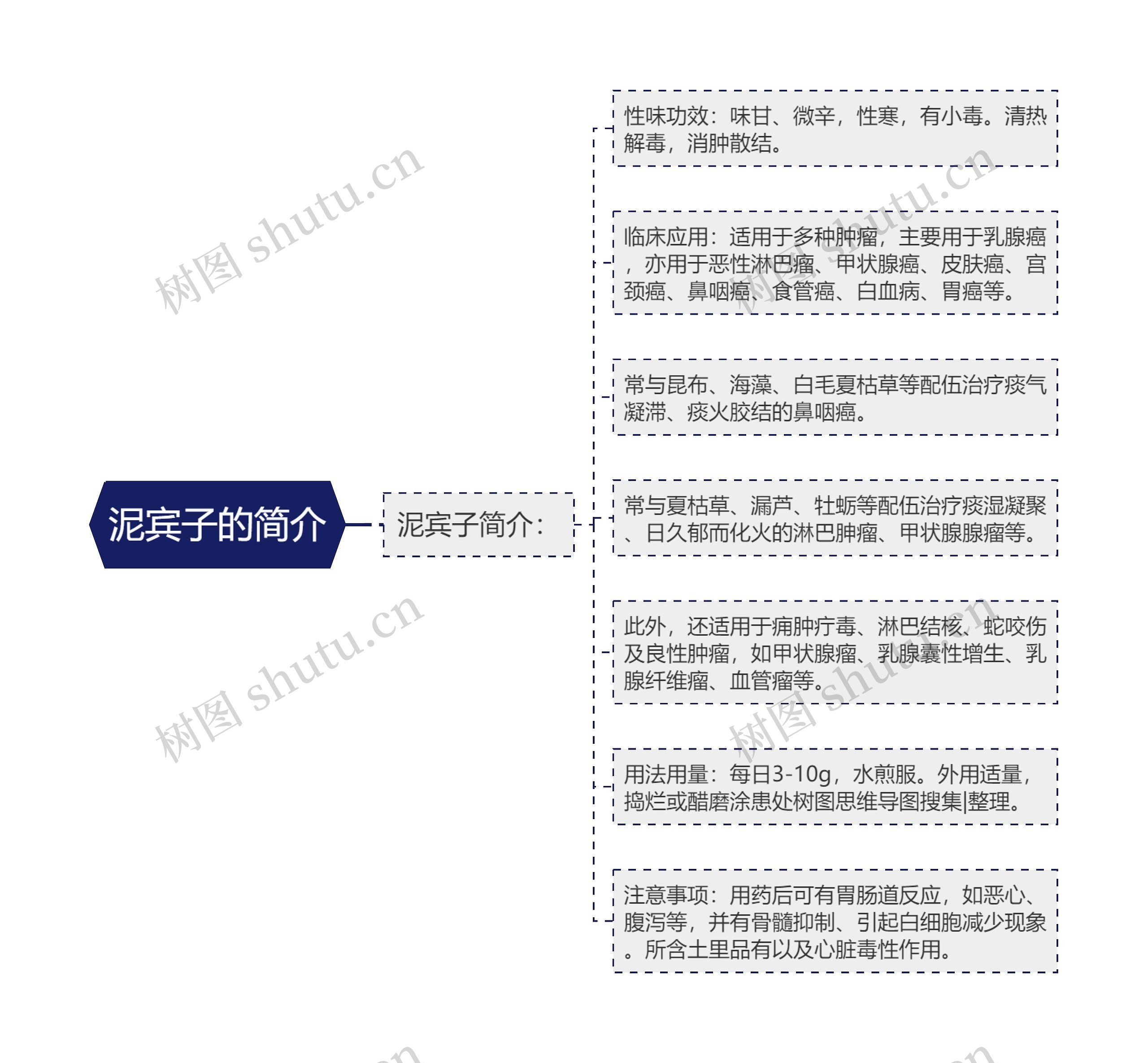 泥宾子的简介思维导图