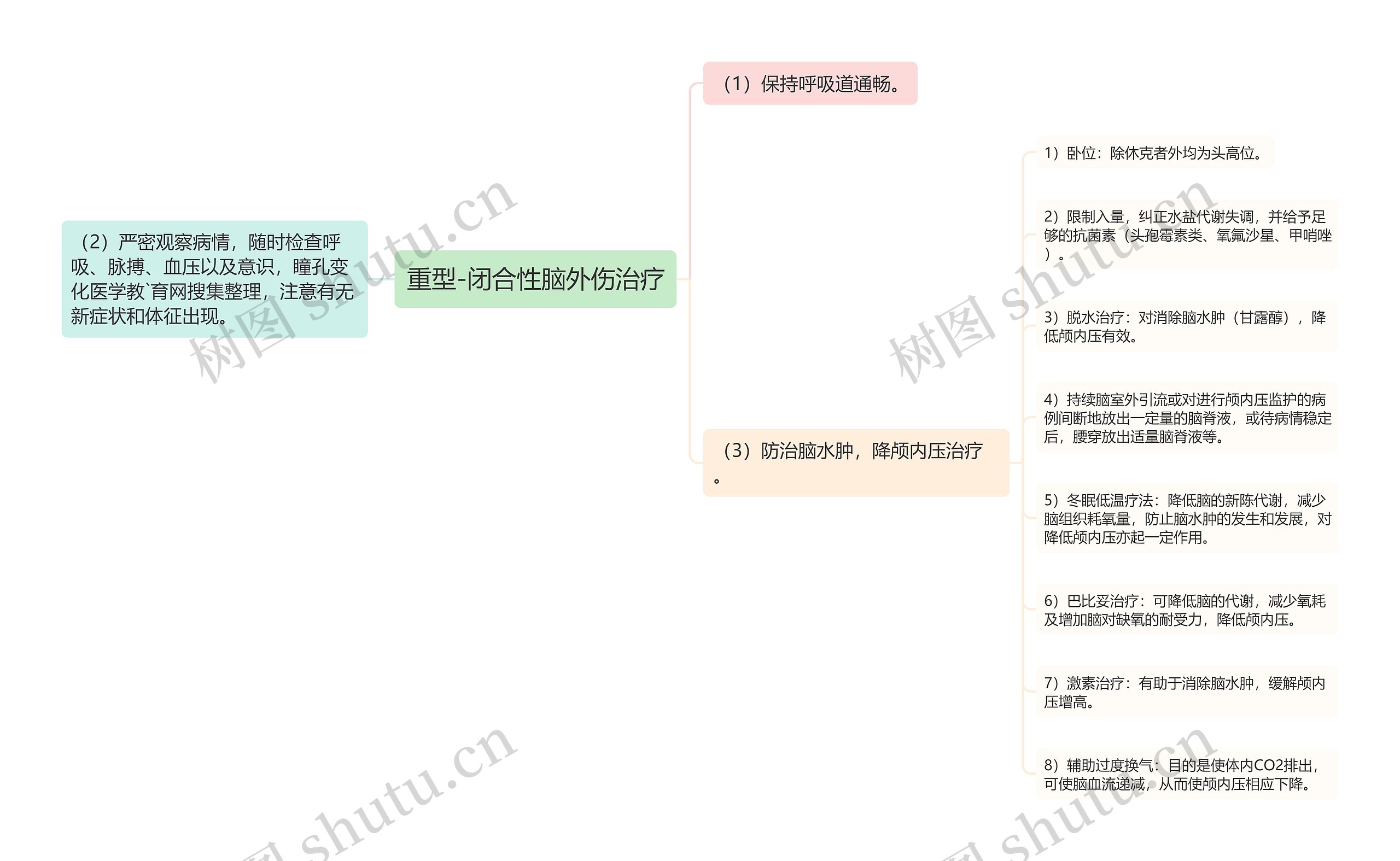 重型-闭合性脑外伤治疗思维导图