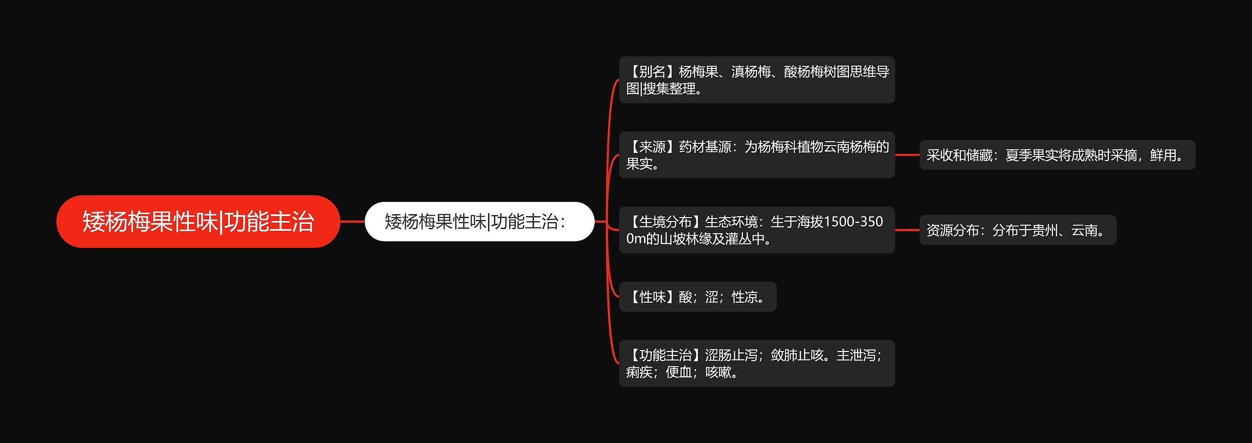 矮杨梅果性味|功能主治思维导图