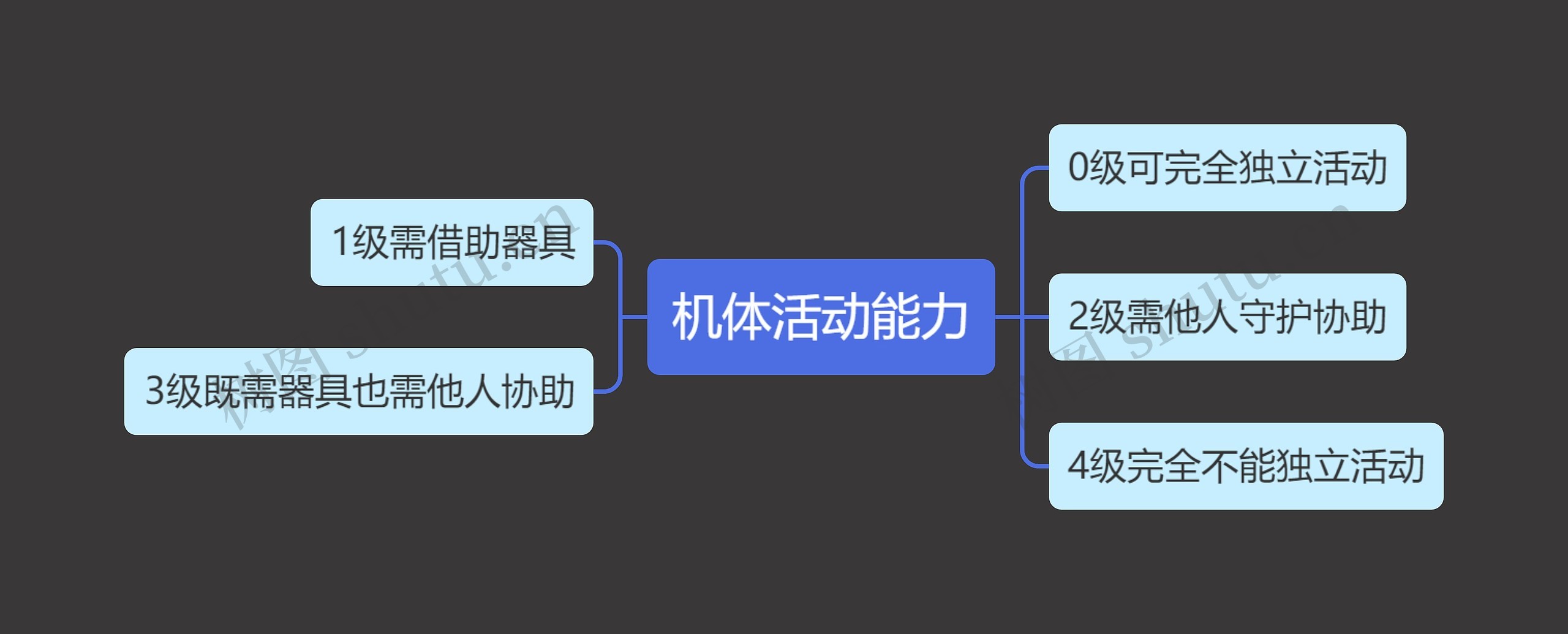 机体活动能力思维导图