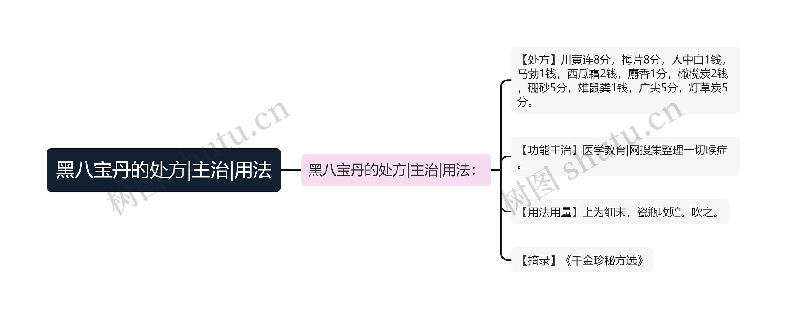 黑八宝丹的处方|主治|用法思维导图