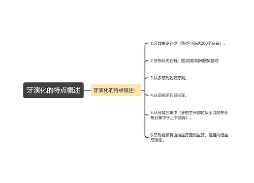 牙演化的特点概述