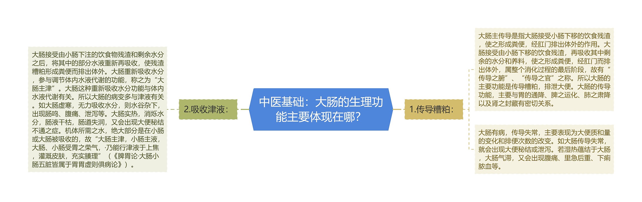 中医基础：大肠的生理功能主要体现在哪？