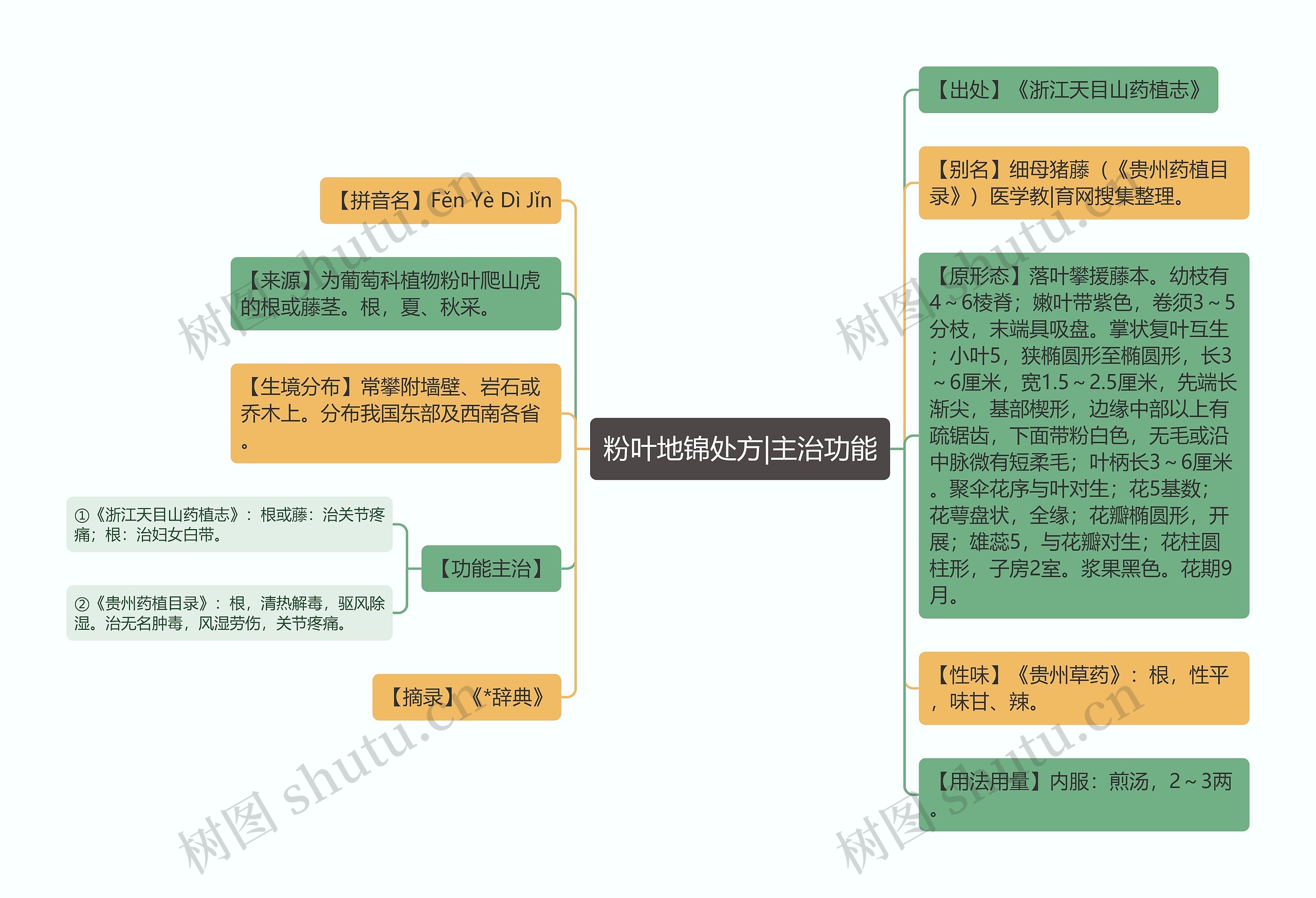 粉叶地锦处方|主治功能思维导图