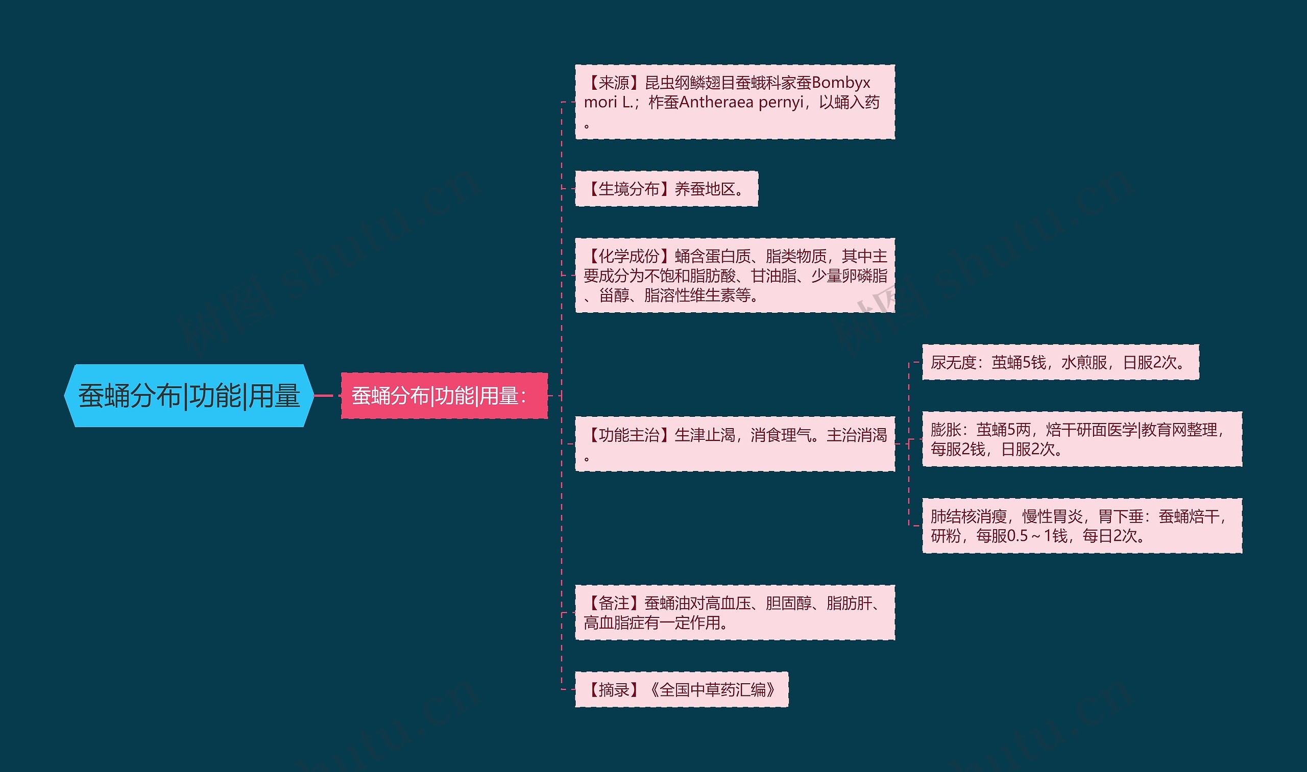 蚕蛹分布|功能|用量思维导图