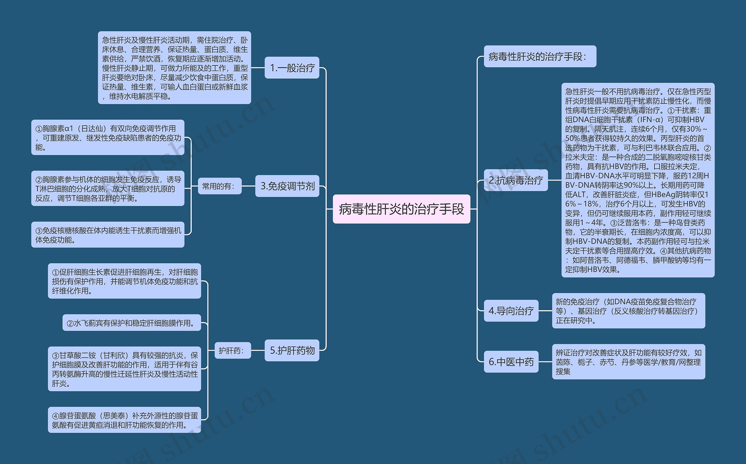 病毒性肝炎的治疗手段思维导图