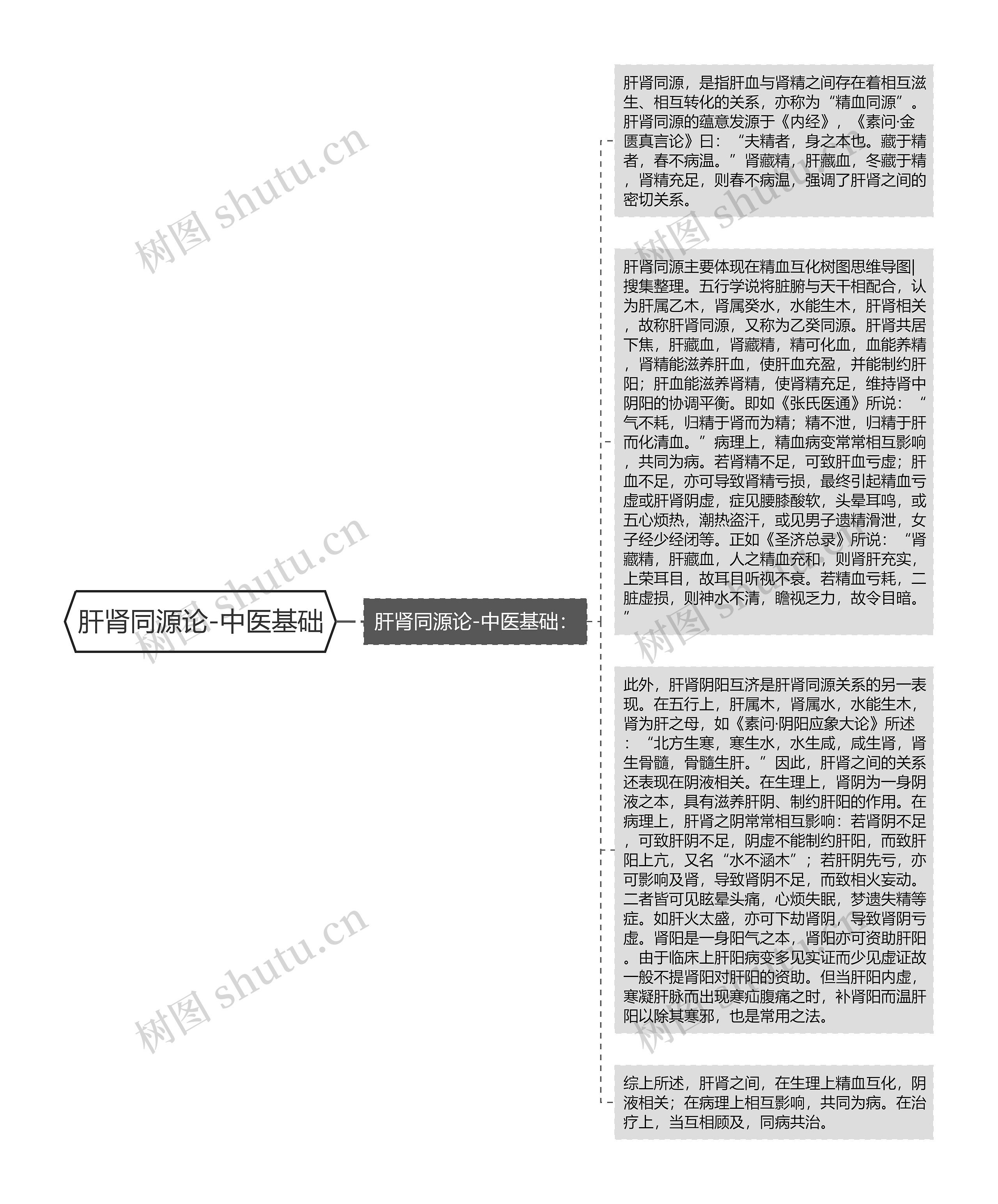肝肾同源论-中医基础思维导图