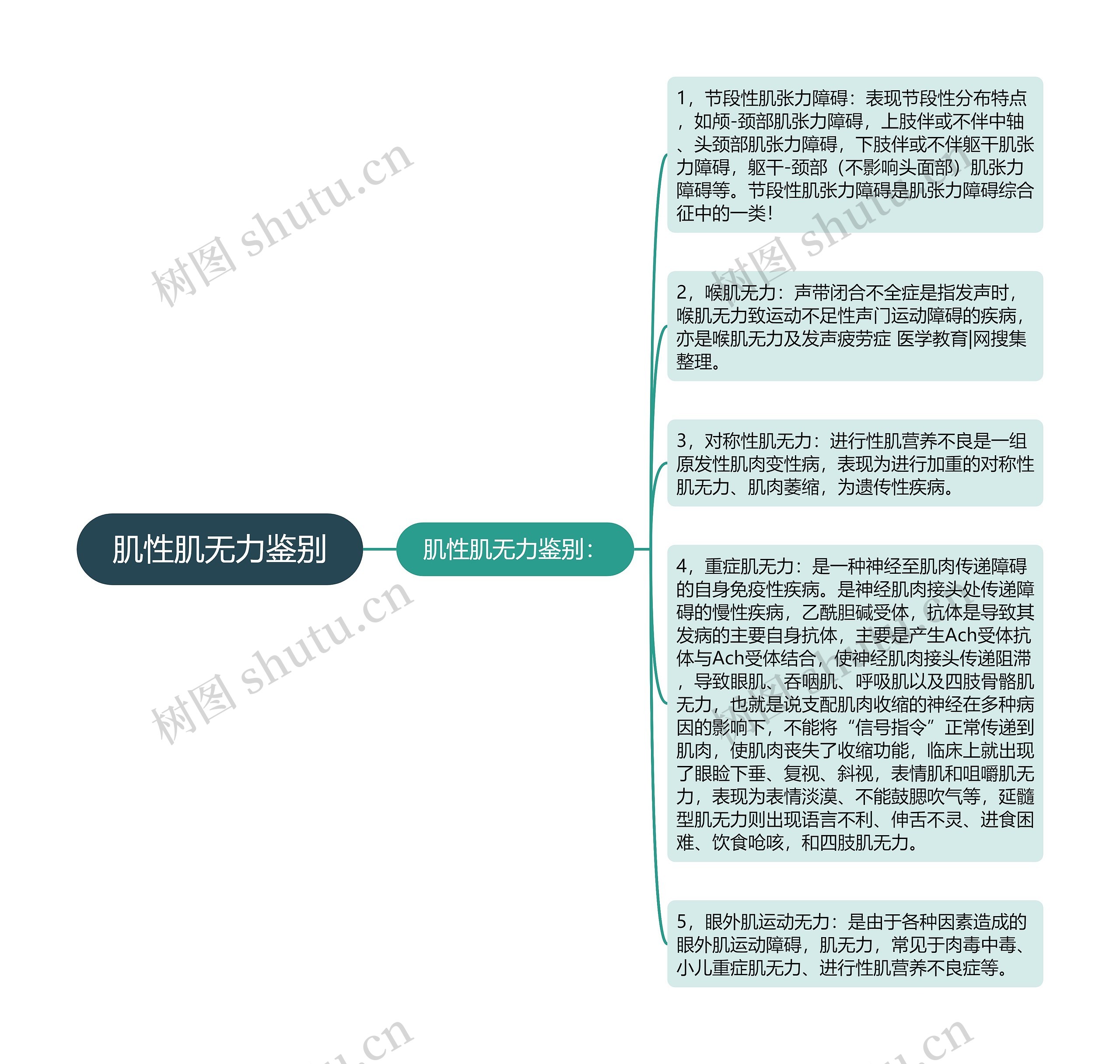 肌性肌无力鉴别思维导图