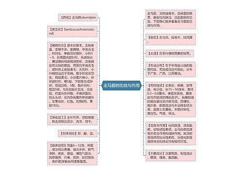 走马箭的功效与作用