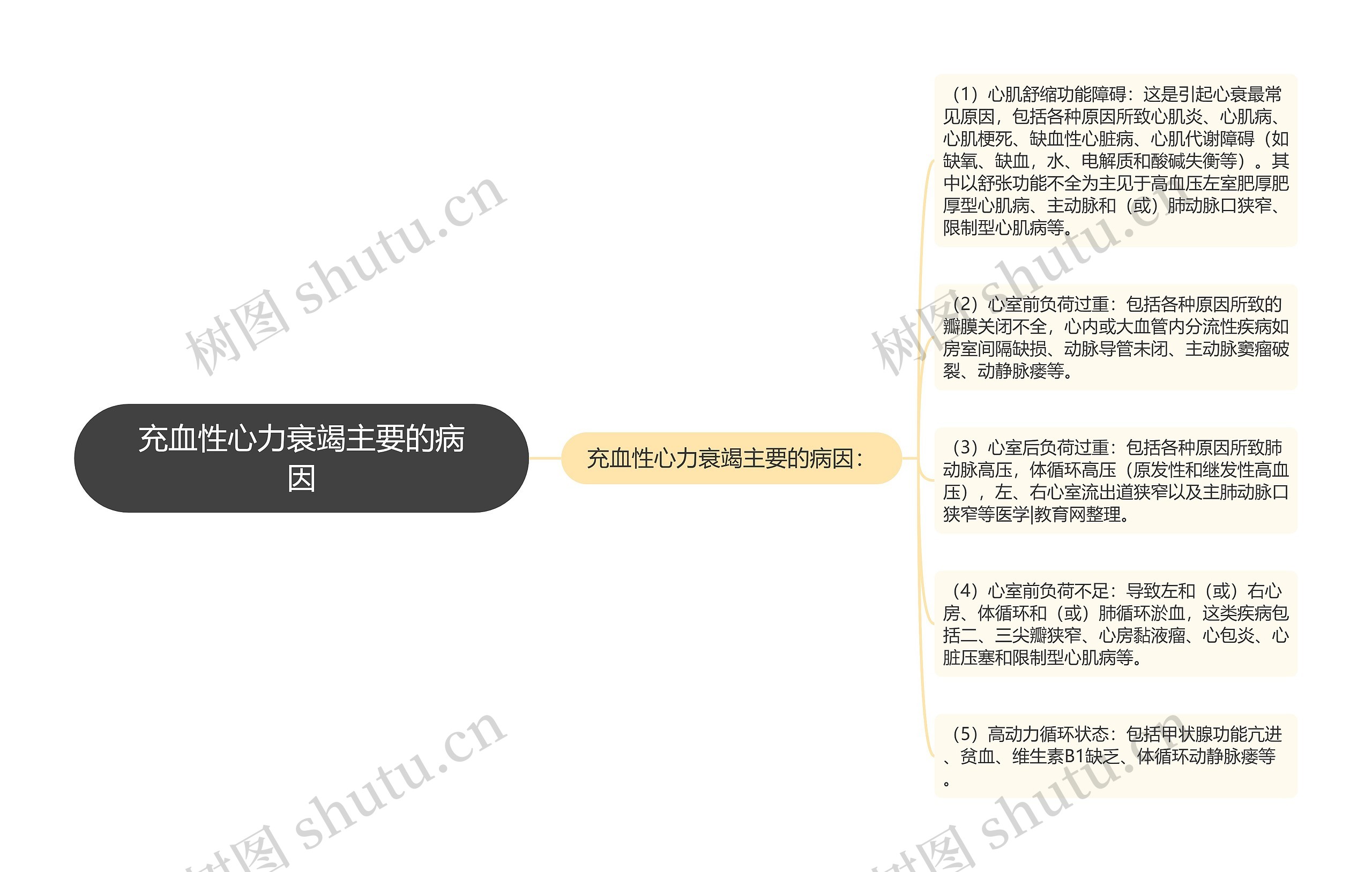 充血性心力衰竭主要的病因思维导图