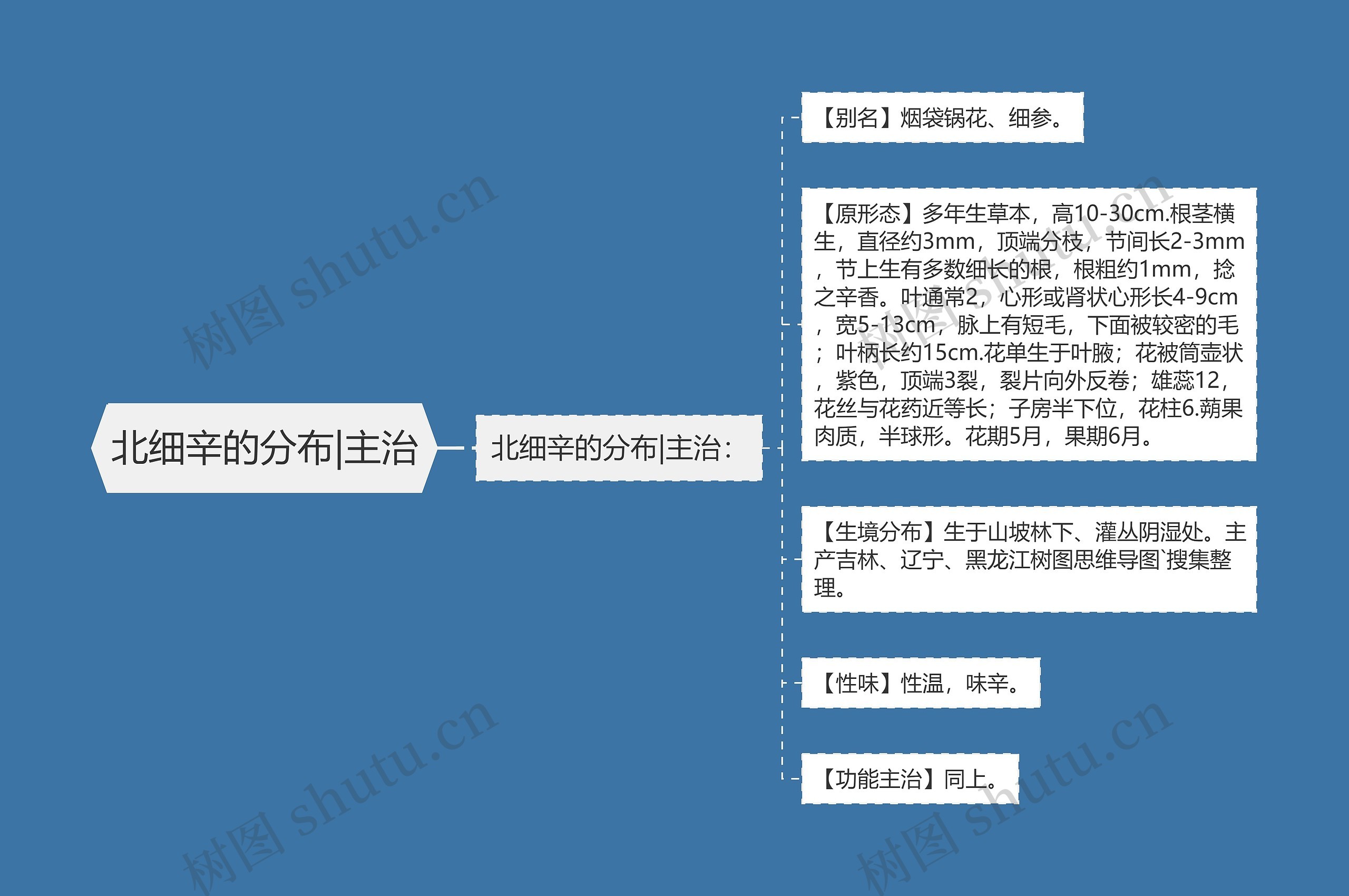 北细辛的分布|主治