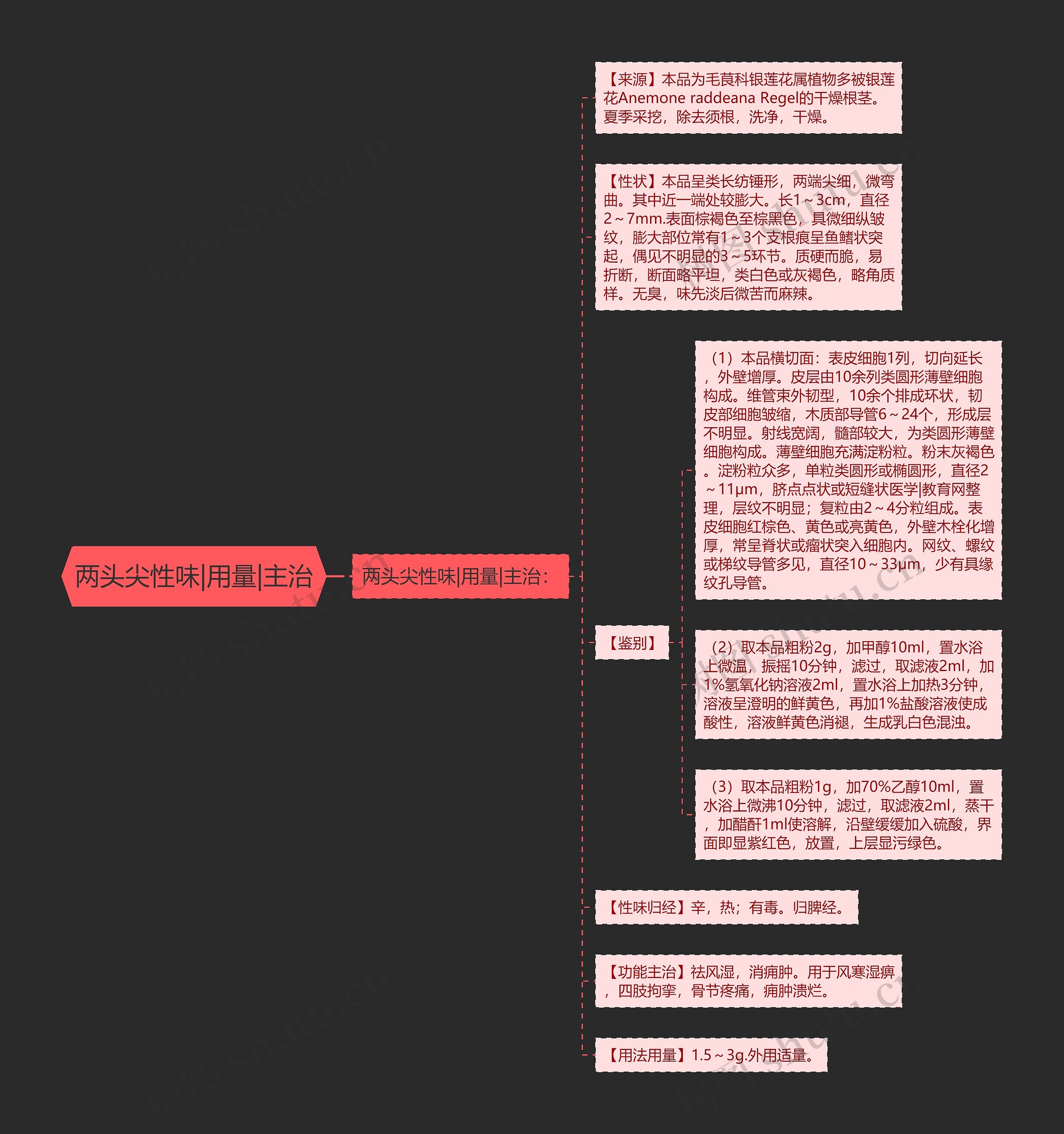 两头尖性味|用量|主治思维导图